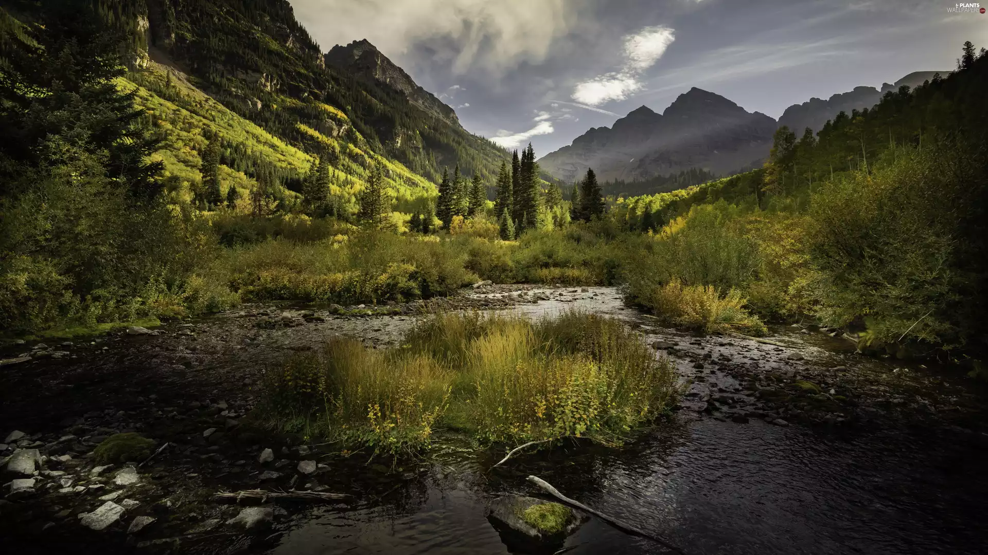 viewes, Bush, flux, cluster, River, trees, Mountains, grass