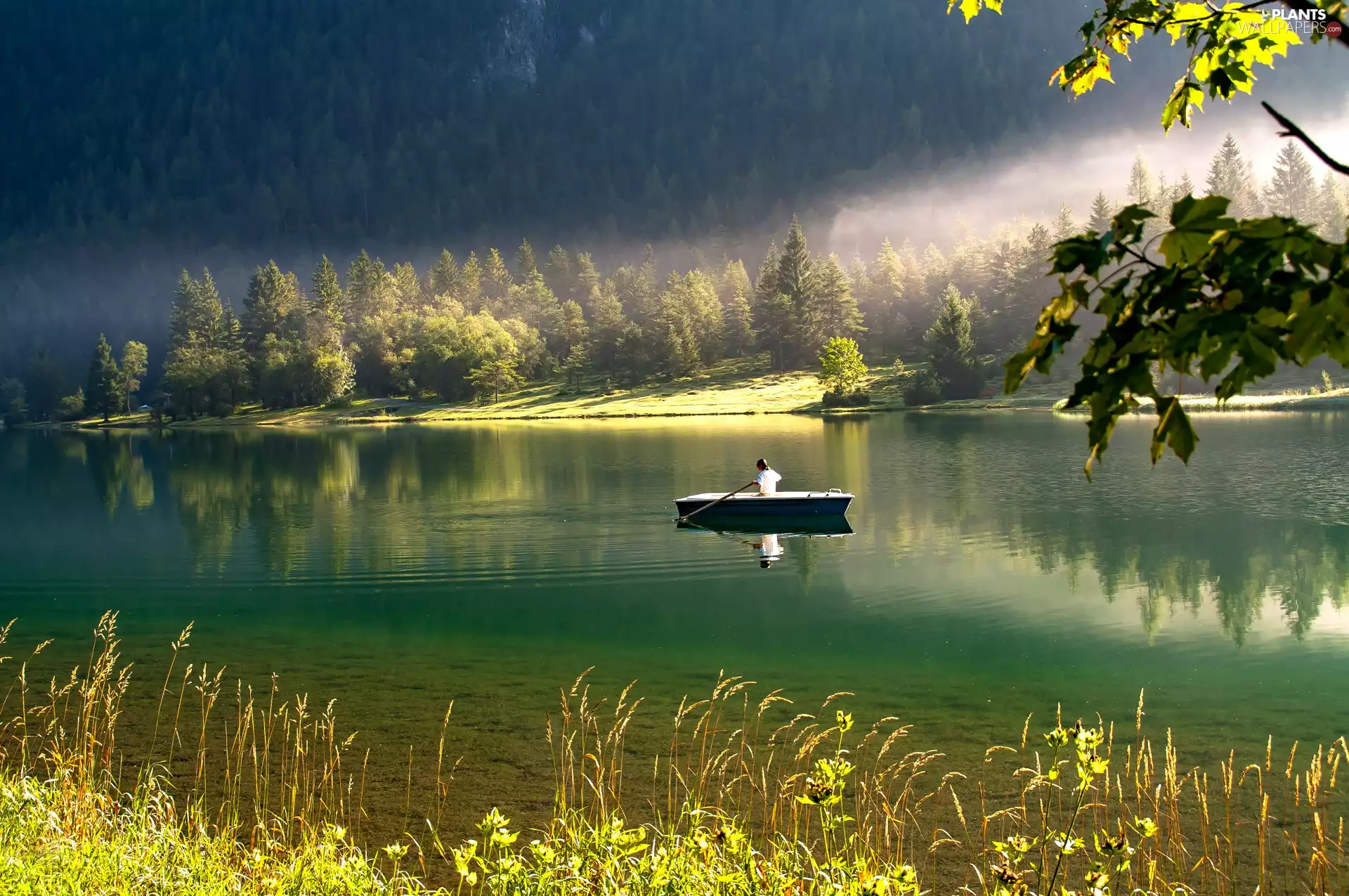 Boat, River, viewes, grass, trees, Fog