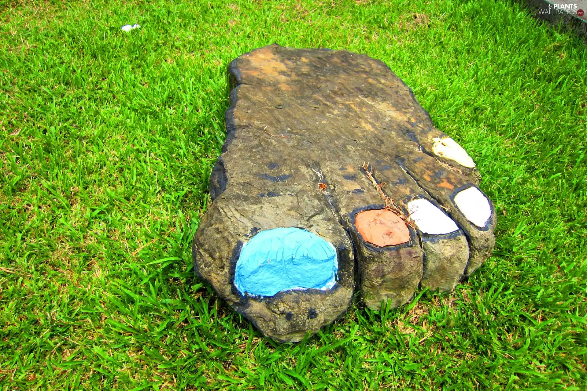 grass, Stone, foot