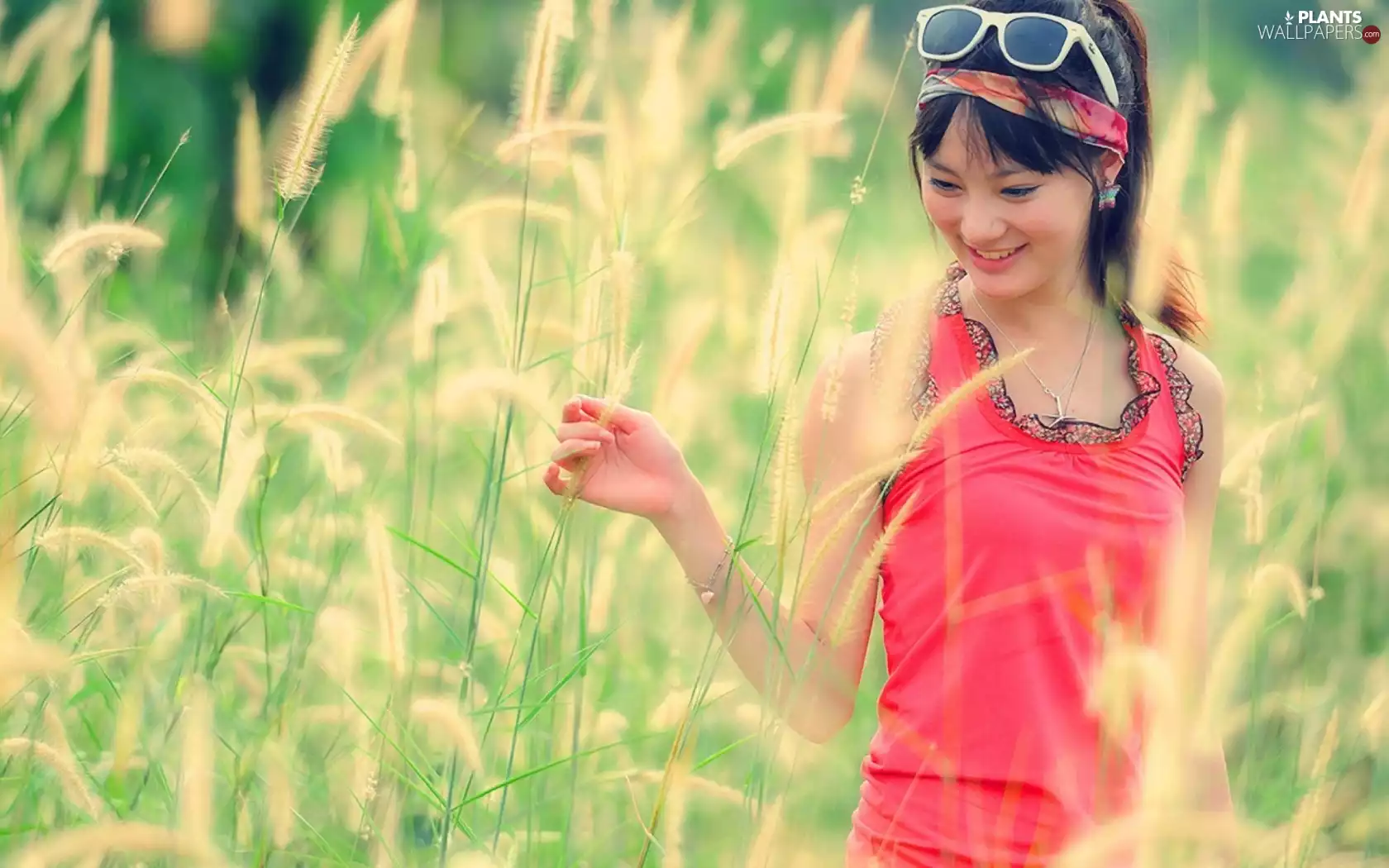 high, grass, girl, Meadow, smiling