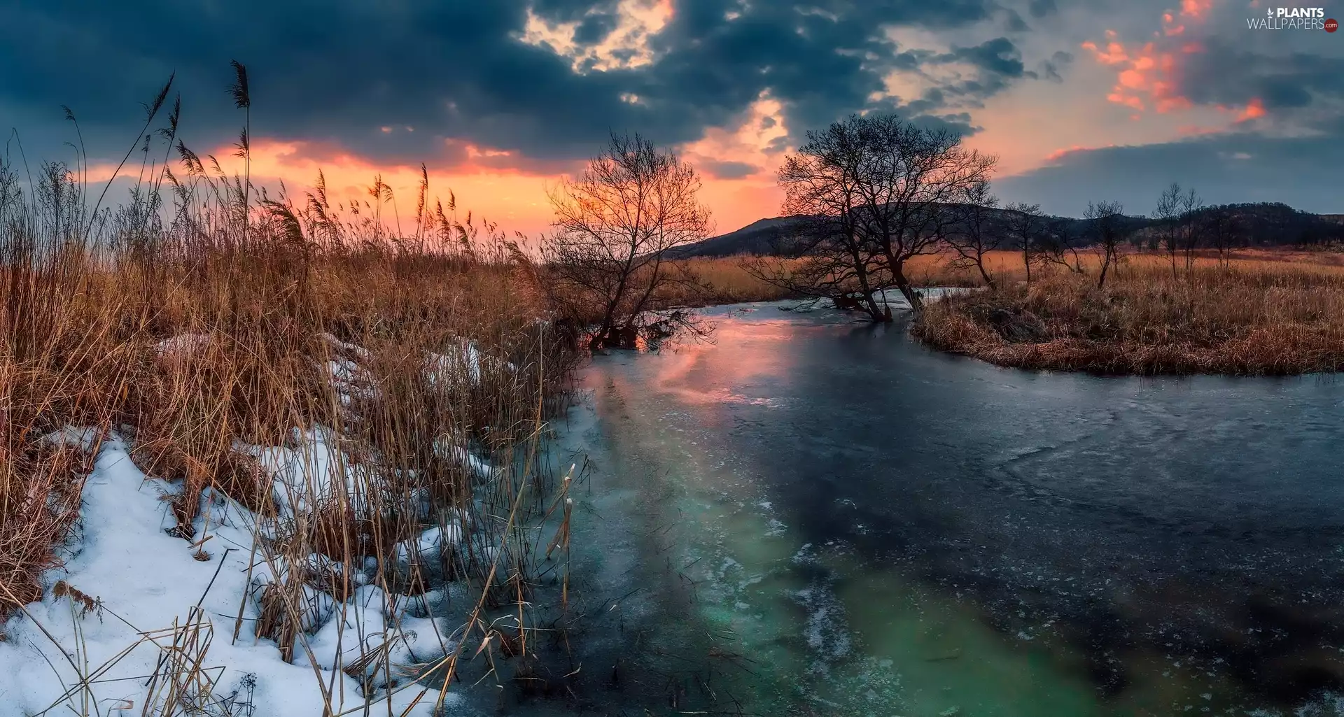 trees, River, Great Sunsets, The Hills, viewes, grass