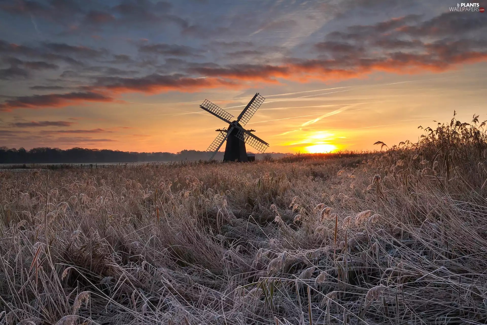 Great Sunsets, Windmill, grass