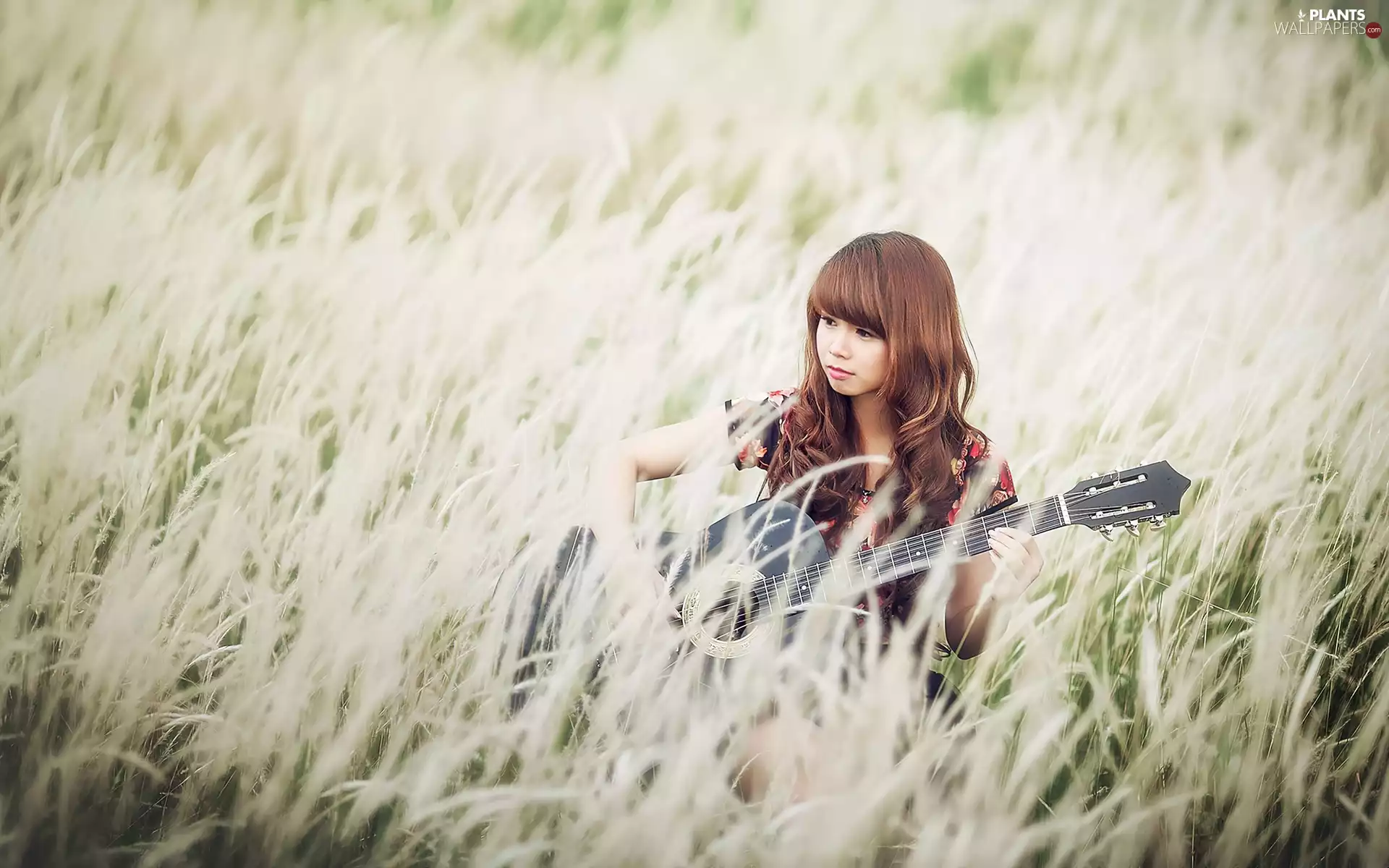 grass, girl, Guitar