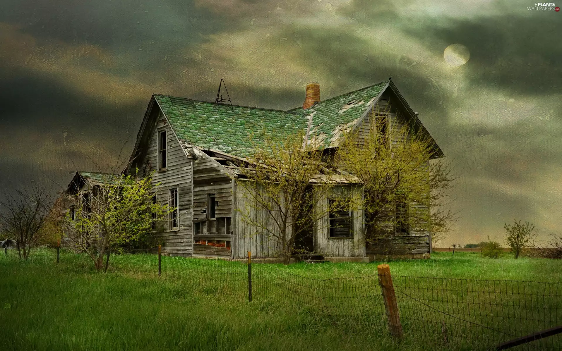 viewes, grass, house, trees, abandoned