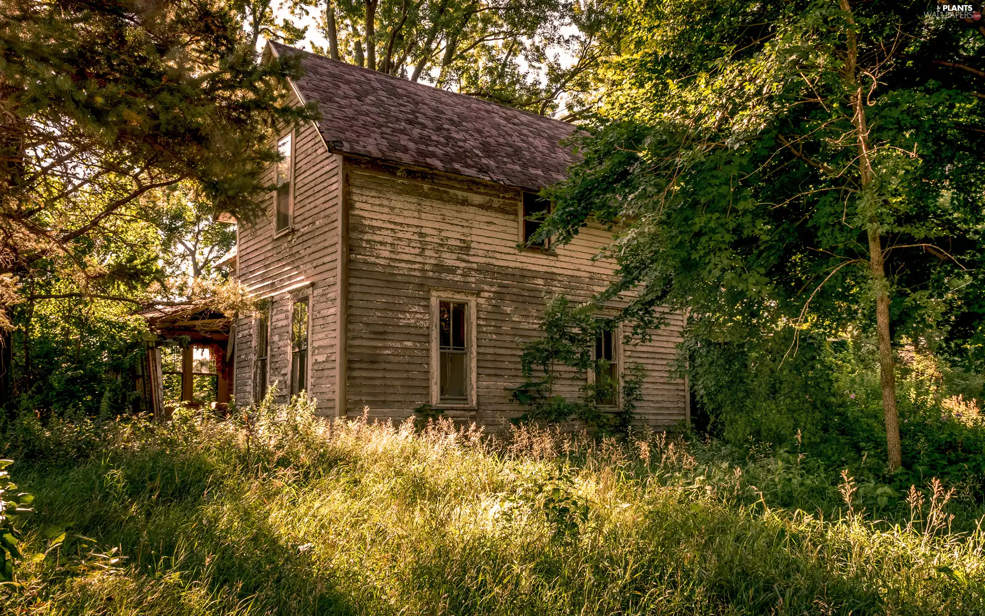 viewes, grass, house, trees, wooden