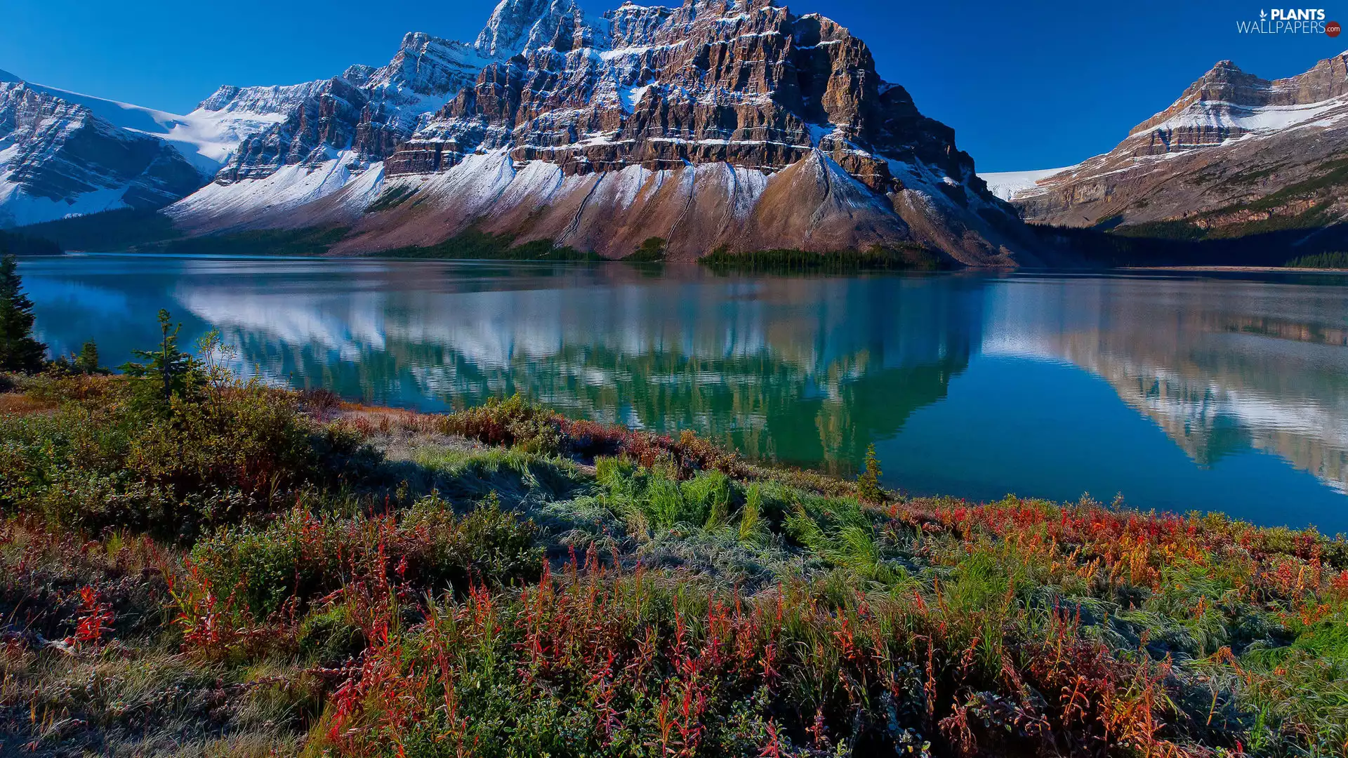 grass, Mountains, lake