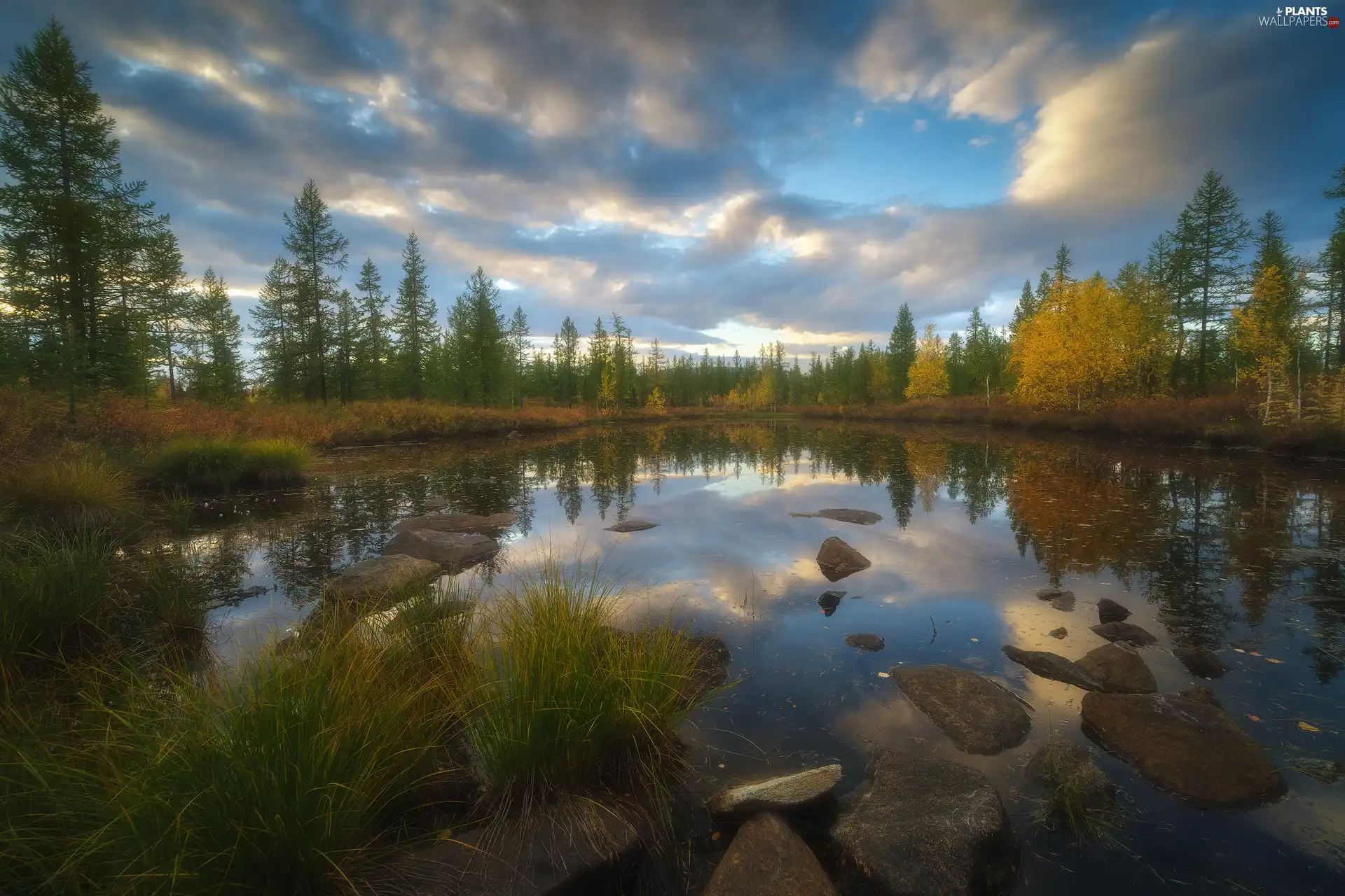 trees, autumn, Stones, grass, viewes, lake