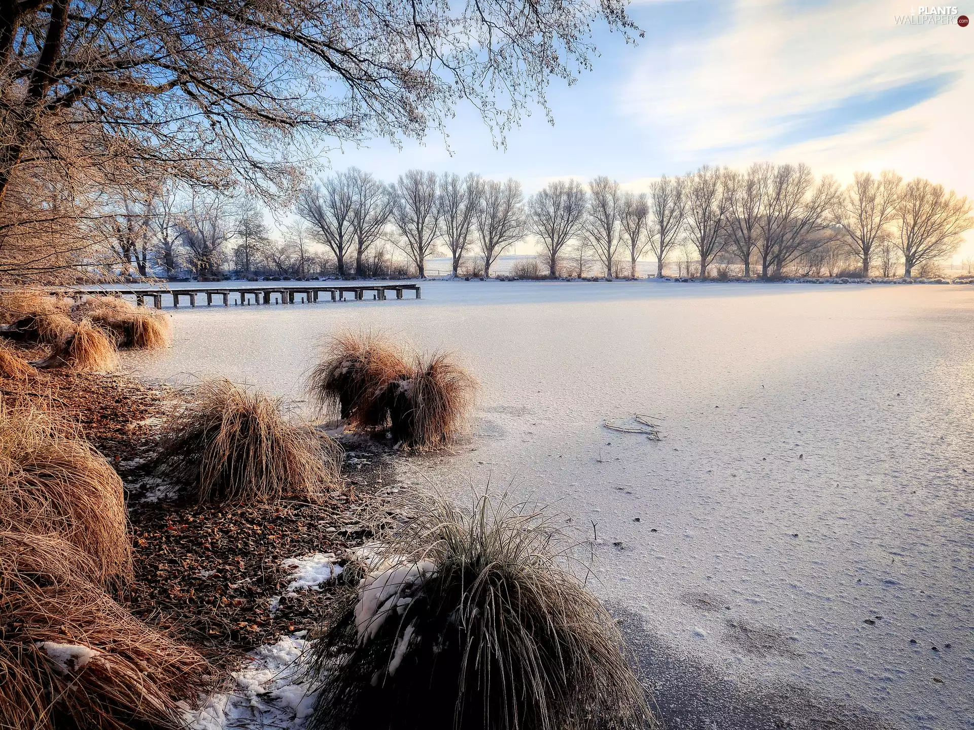 Platform, winter, viewes, grass, trees, lake