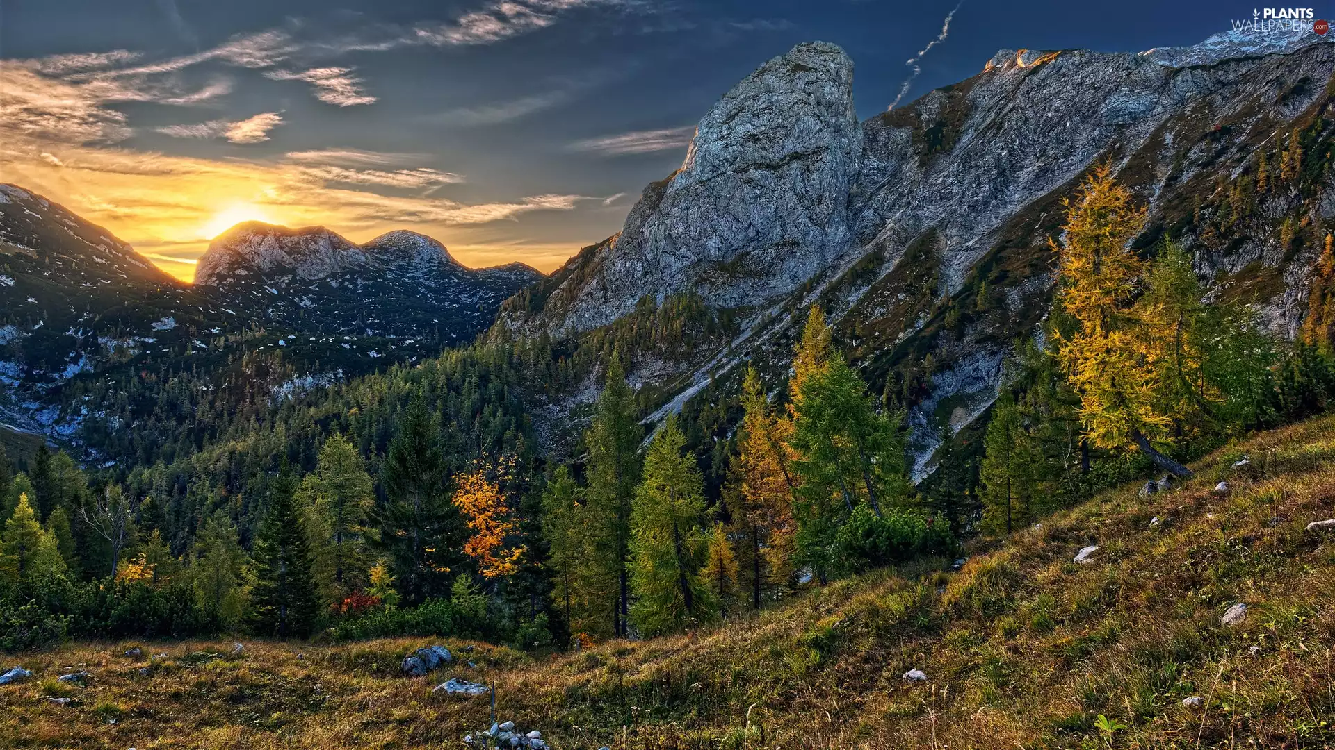 viewes, grass, Mountains, trees, Sunrise