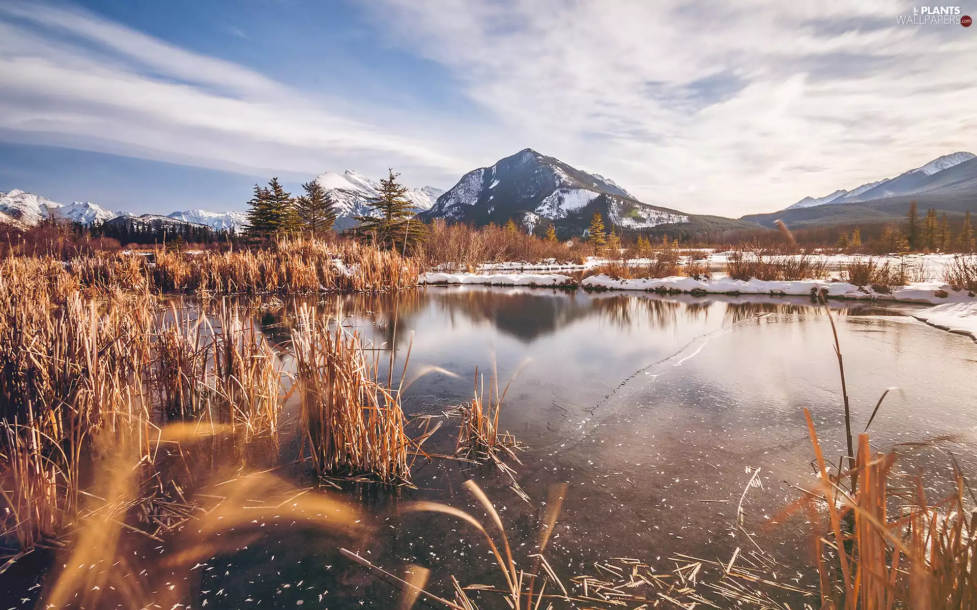 lake, winter, viewes, grass, trees, Mountains