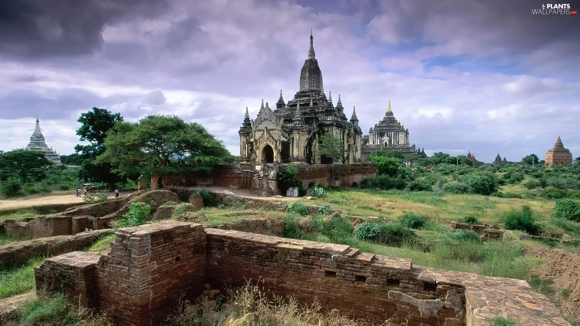 ruins, Myanmar, viewes, grass, trees, pagodas