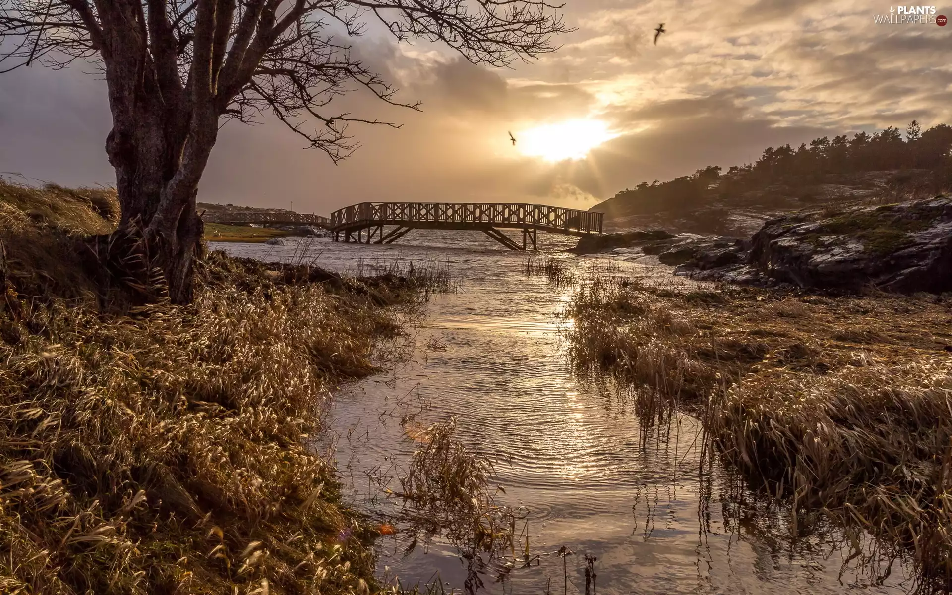 rocks, bridge, rays, grass, River, clouds, sun