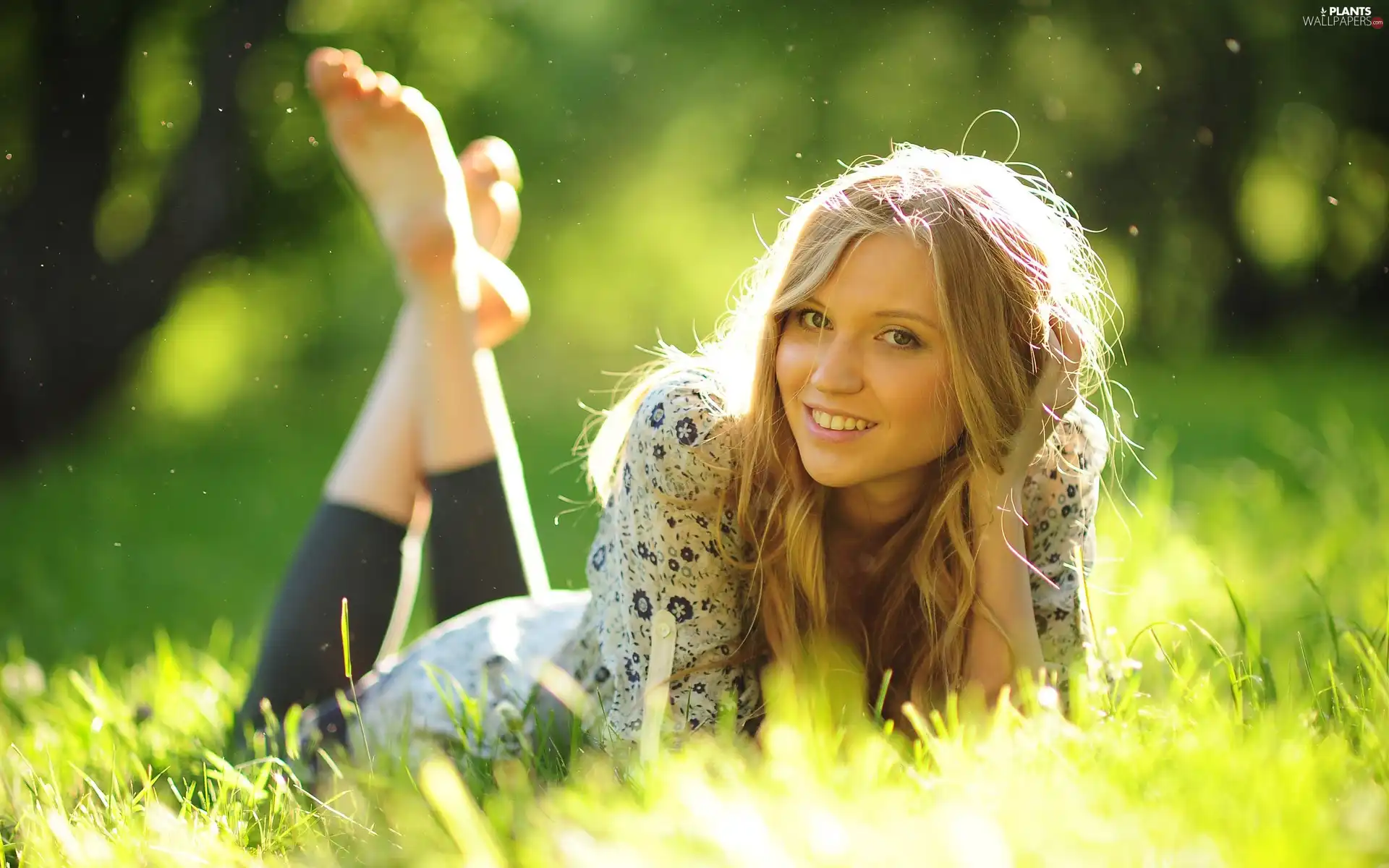 grass, resting, Women, Blonde, Beauty