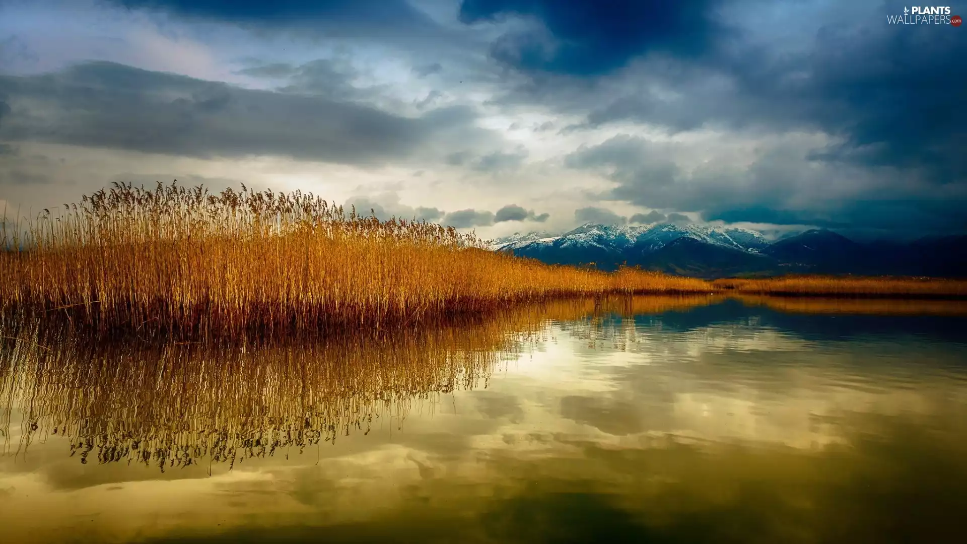River, Mountains, clouds, grass