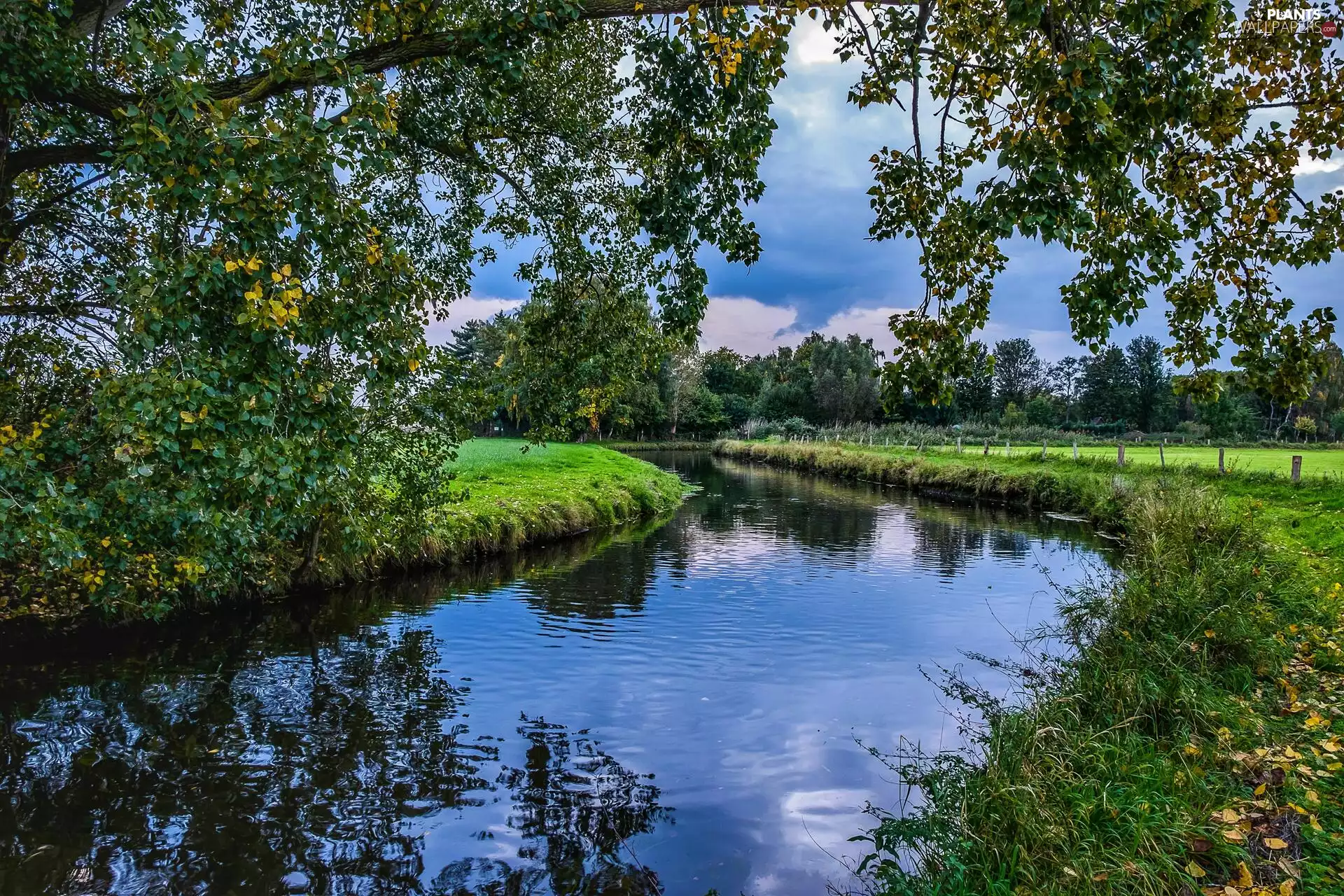River, trees, viewes, grass