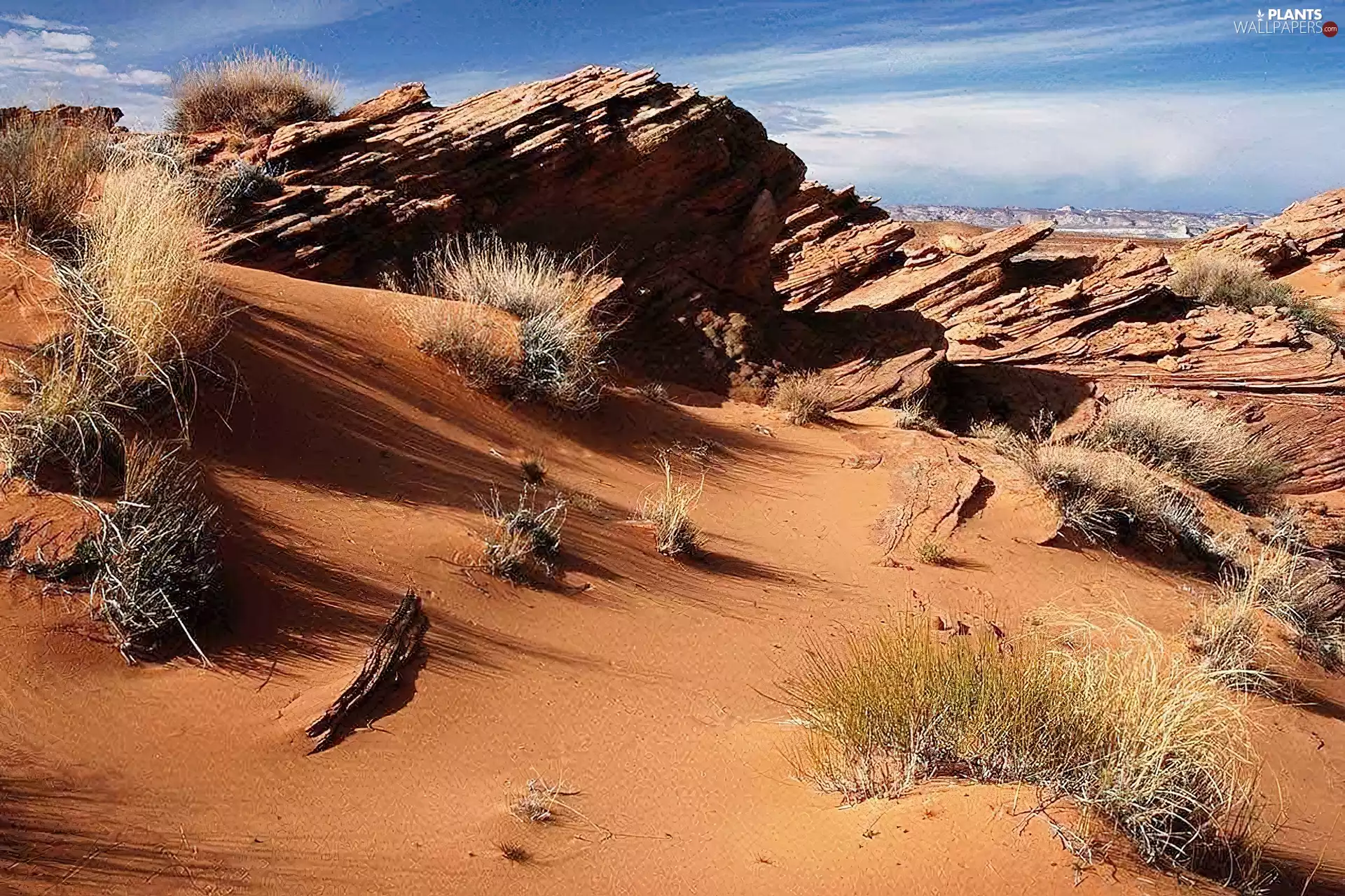 grass, Desert, rocks