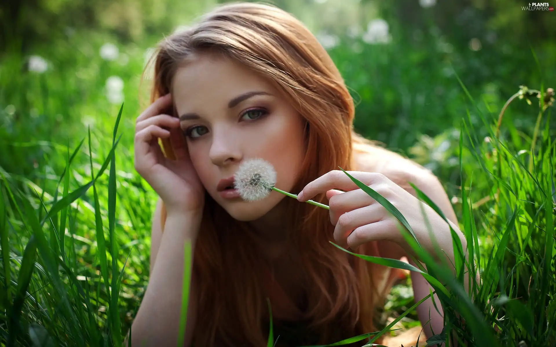 sad, Meadow, grass, girl