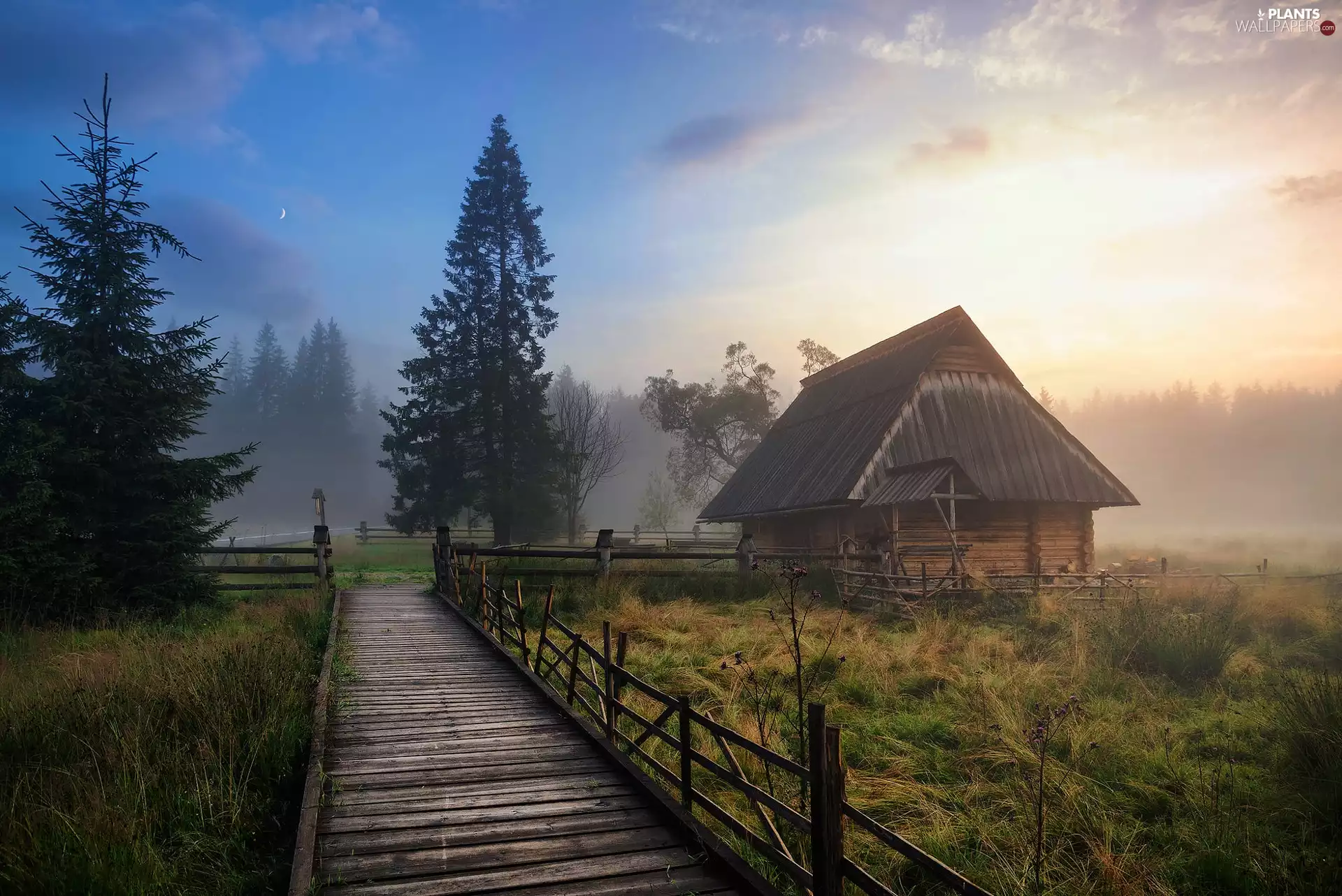 grass, Fog, bridge, Zakopane, trees, Field, house, Poland, Sky, viewes