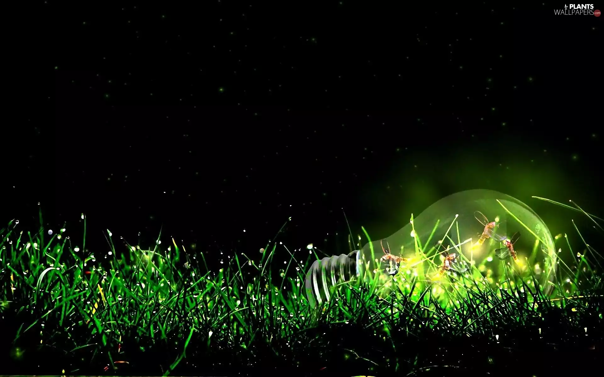 grass, bulb, skylights