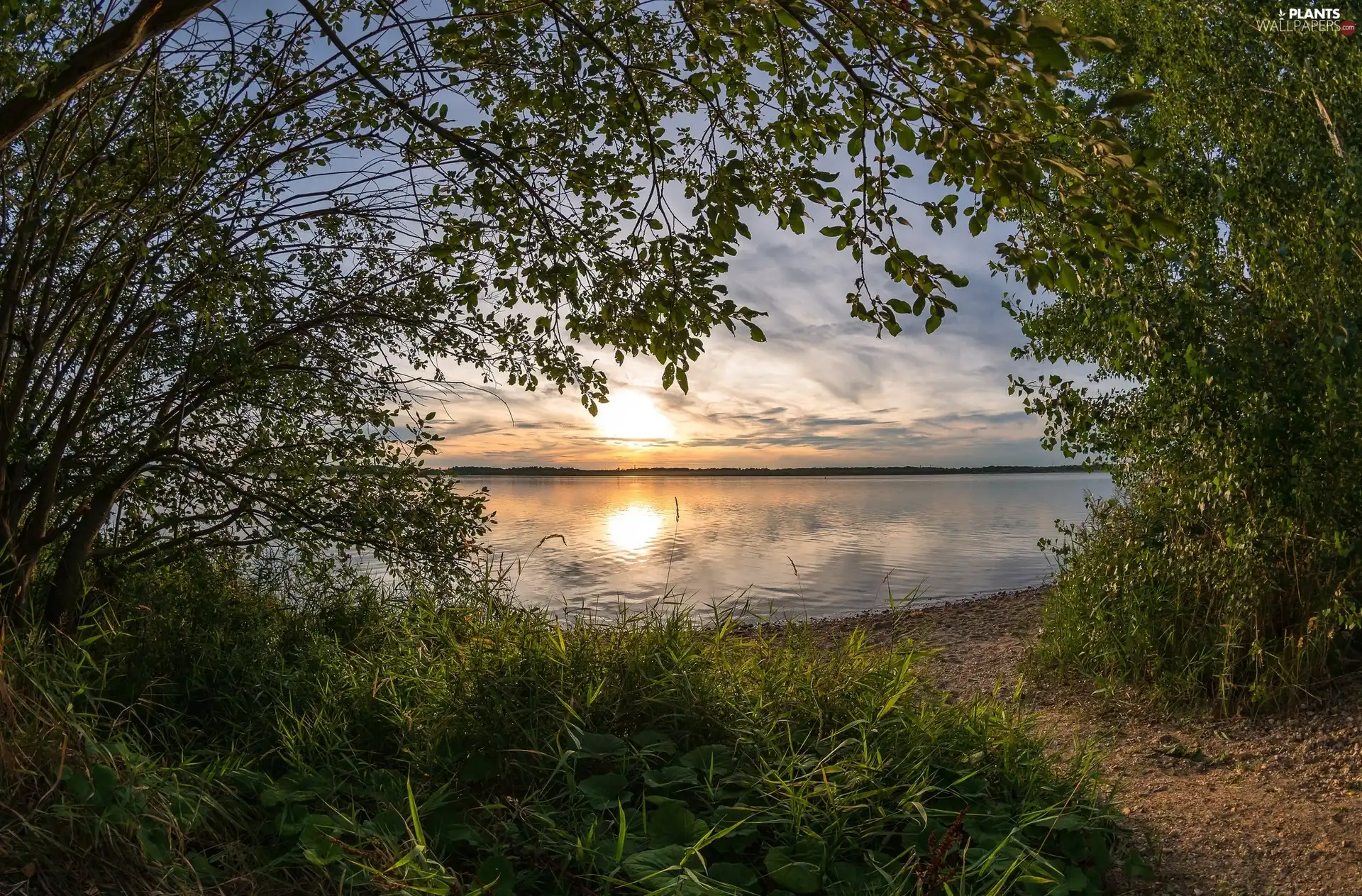 viewes, grass, Sunrise, trees, lake