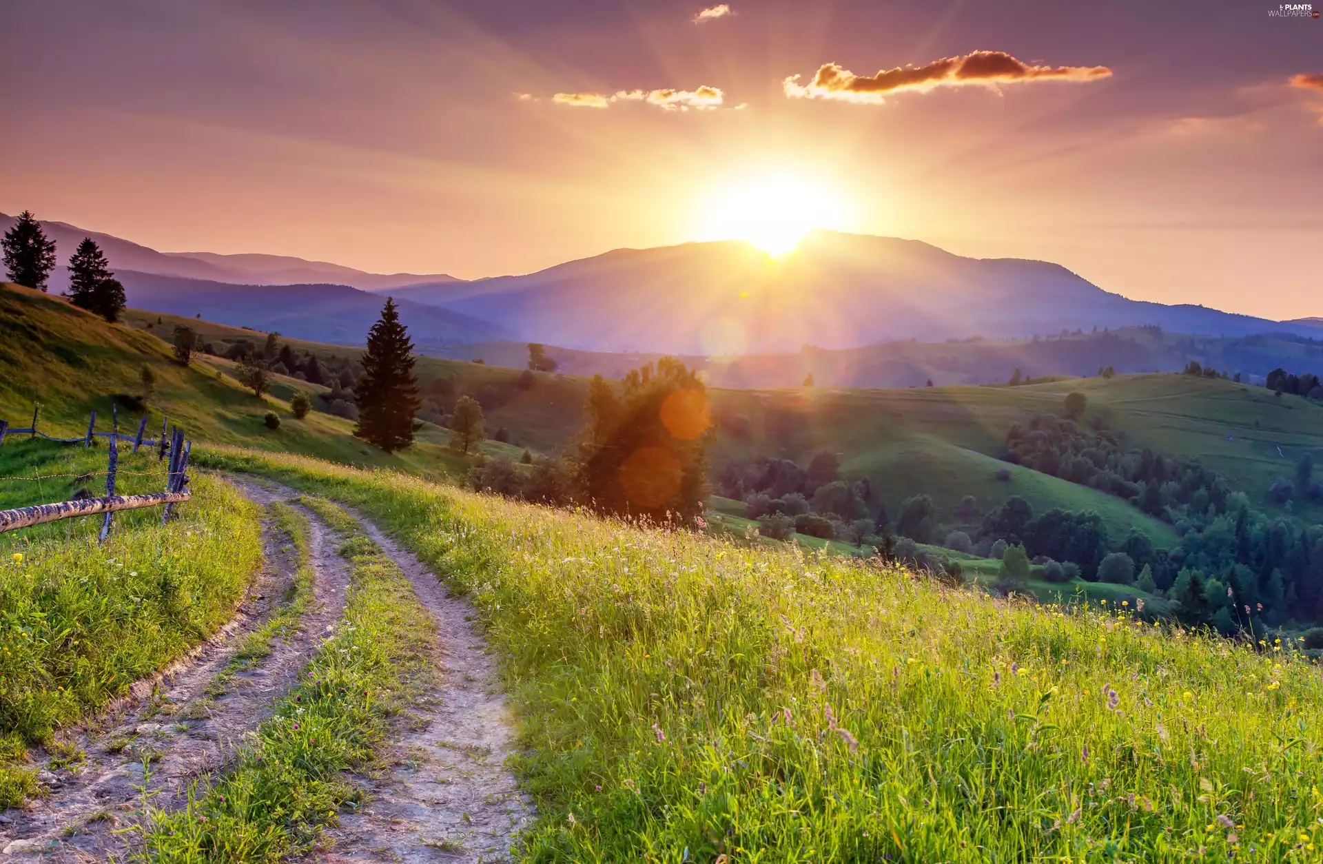 Way, grass, Sunrise, Valley, Mountains