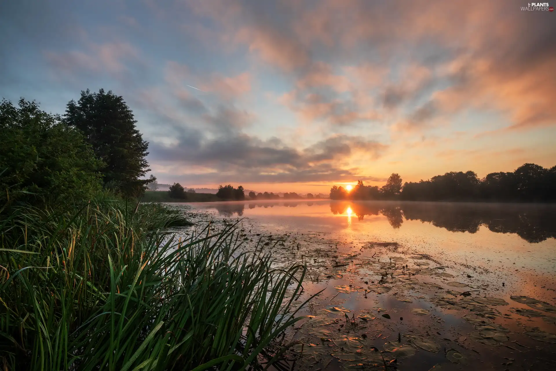 viewes, grass, Sunrise, trees, River