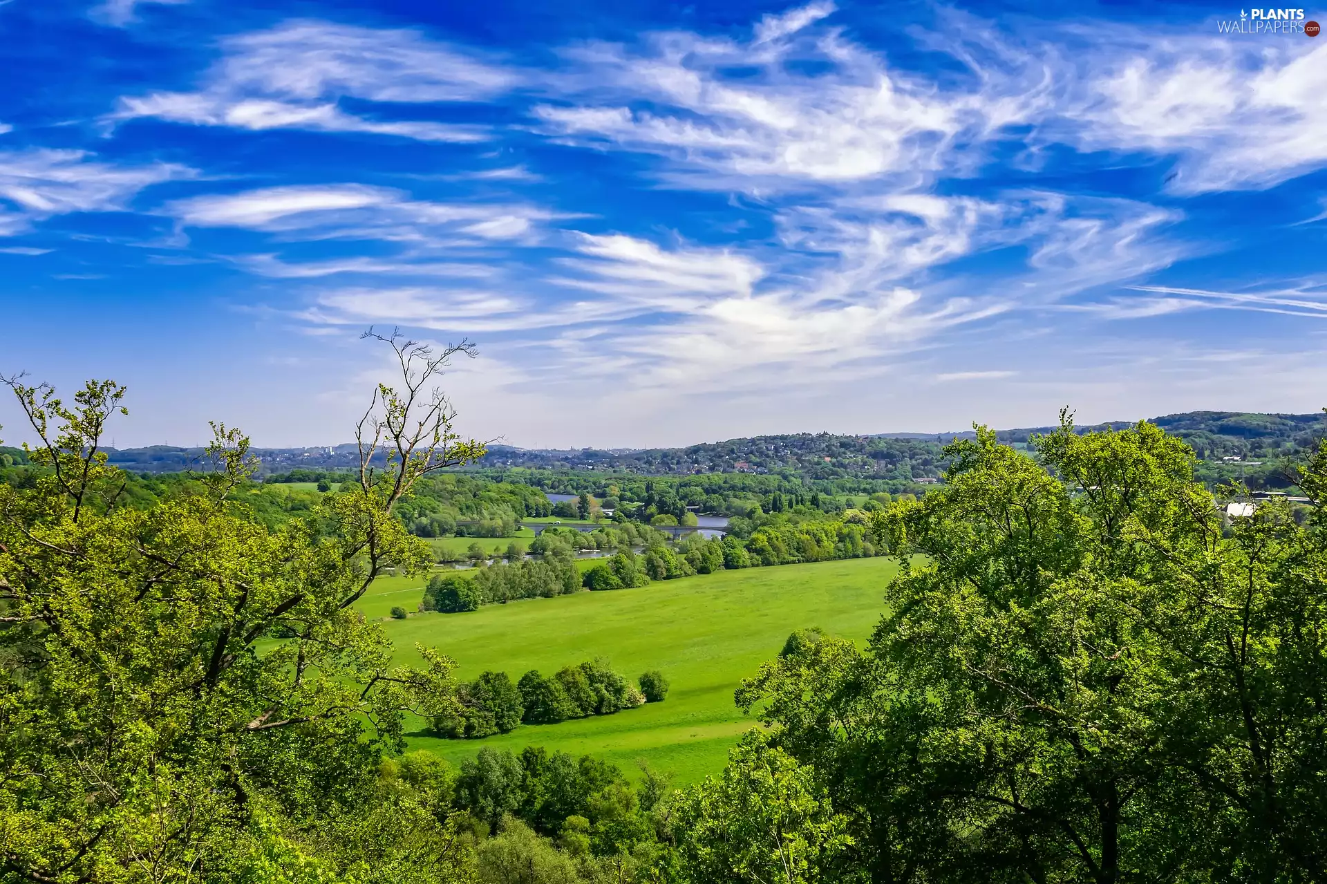 grass, Meadow, The Hills, River, buildings, viewes, trees, bridge