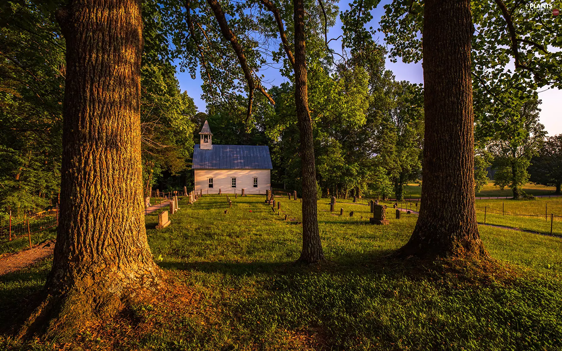 Church, trees, cemetery, grass, chapel, viewes