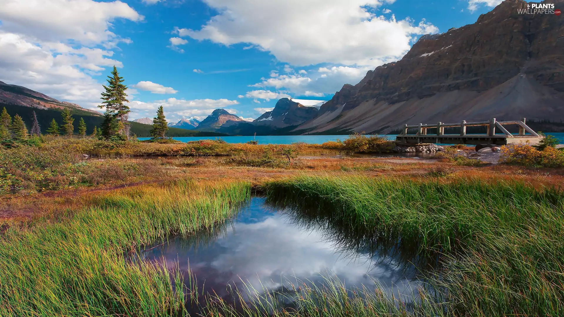 bridges, lake, viewes, Pond - car, Mountains, trees, grass