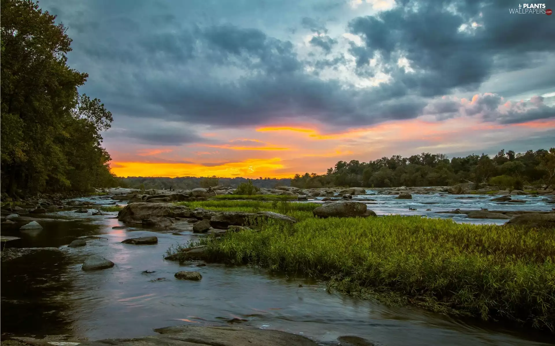 woods, Stones, west, grass, River, clouds, sun