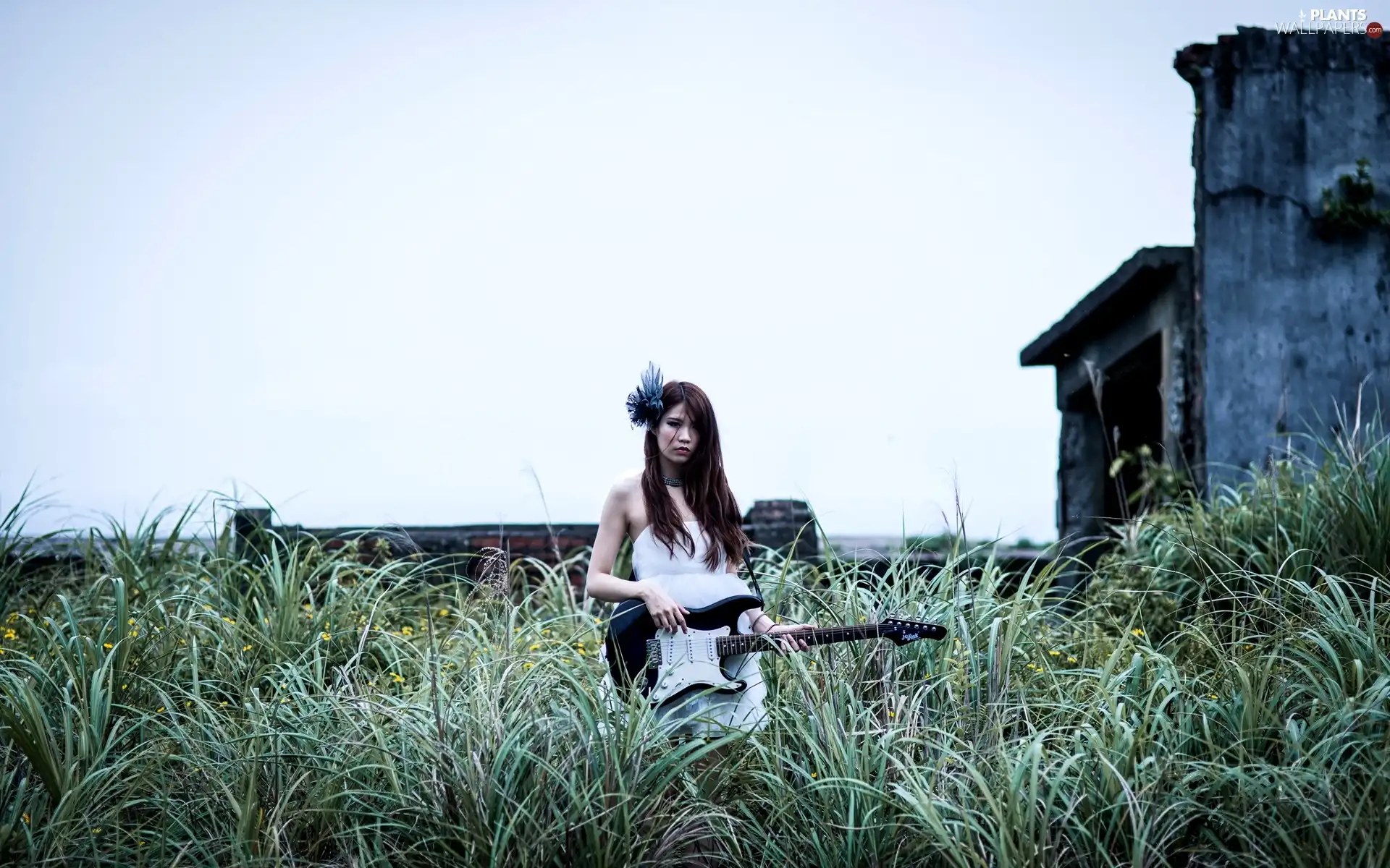 grass, Guitar, Women