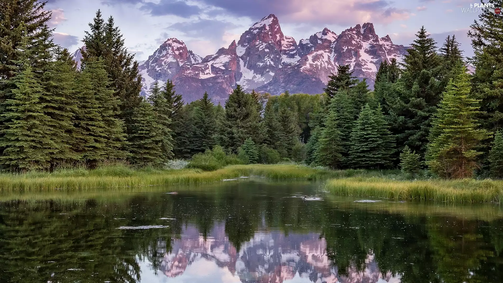 Snake River, Grand Teton National Park, Teton Range Mountains, trees, State of Wyoming, The United States, grass, reflection, viewes