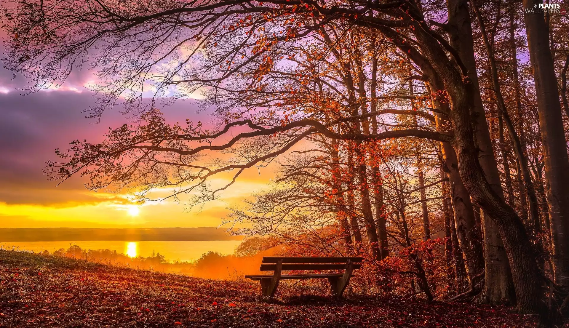 viewes, autumn, Bench, Great Sunsets, River, trees