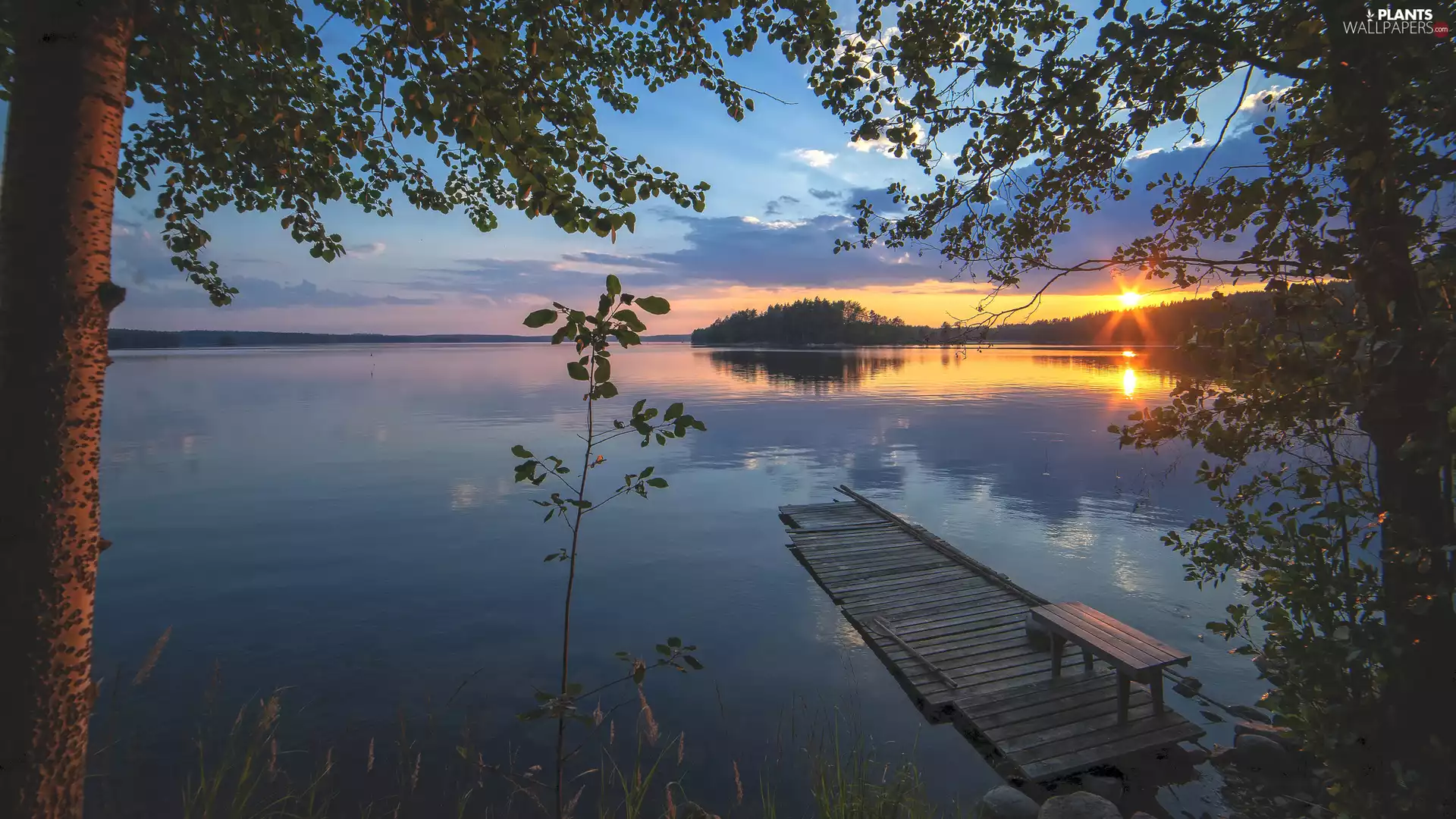 viewes, lake, Bench, Great Sunsets, Platform, trees