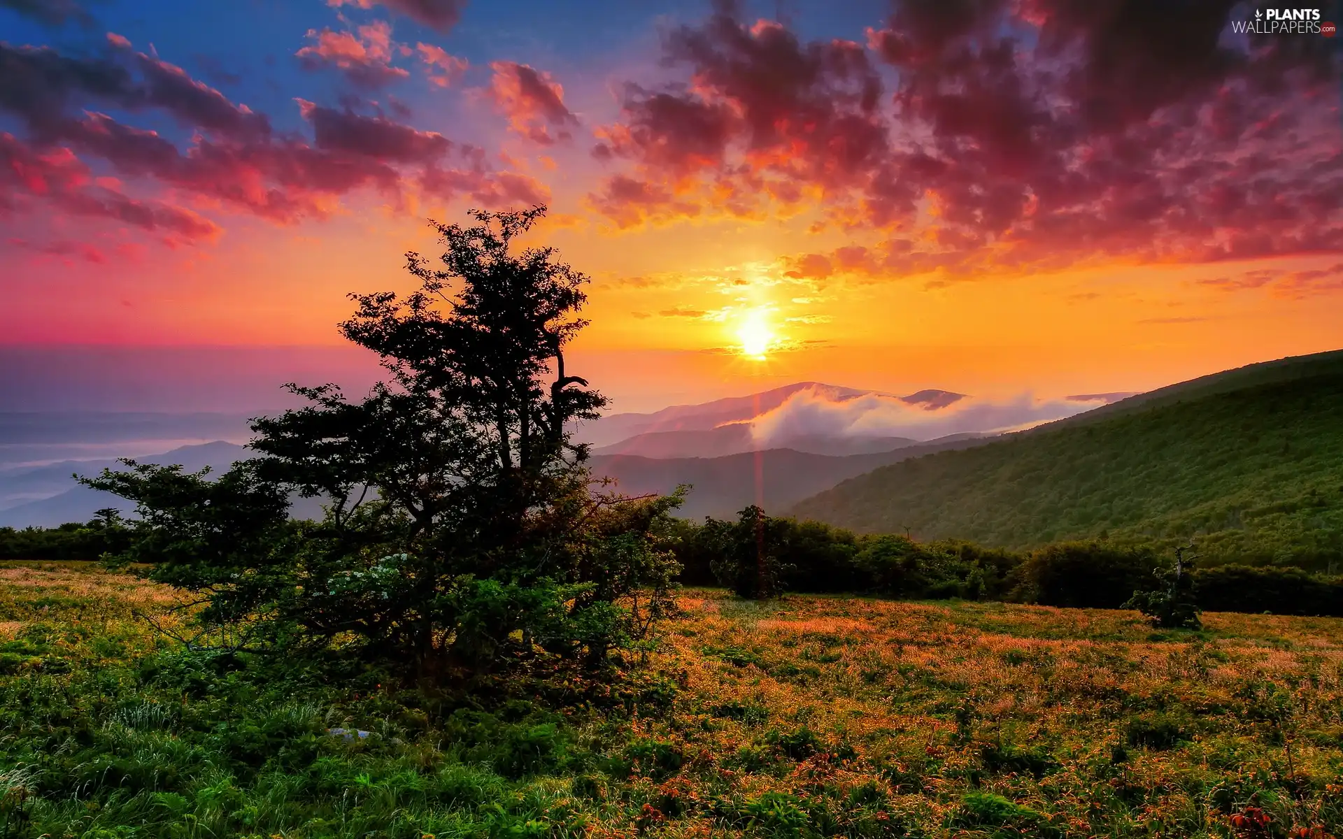 Great Sunsets, clouds, medows, Mountains, trees