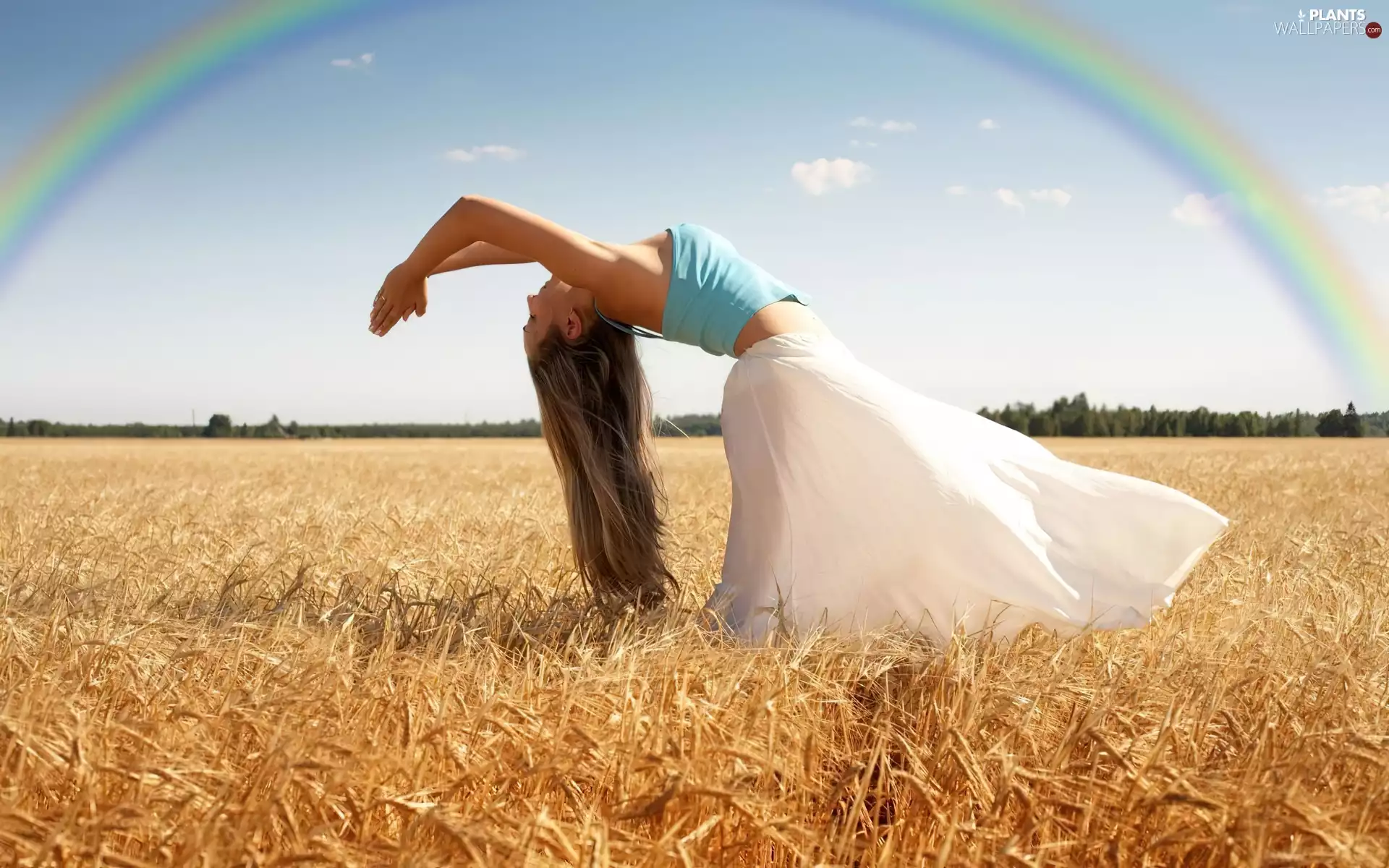 Women, position, corn, Great Rainbows, Field