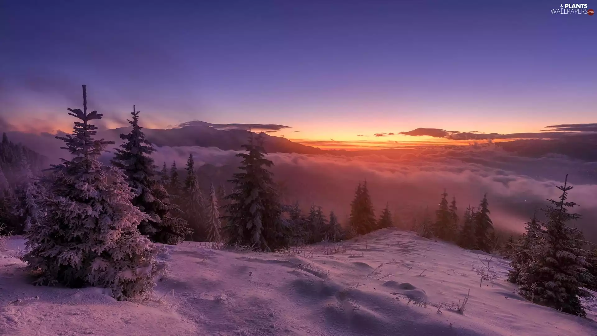 viewes, winter, Fog, Great Sunsets, Mountains, trees