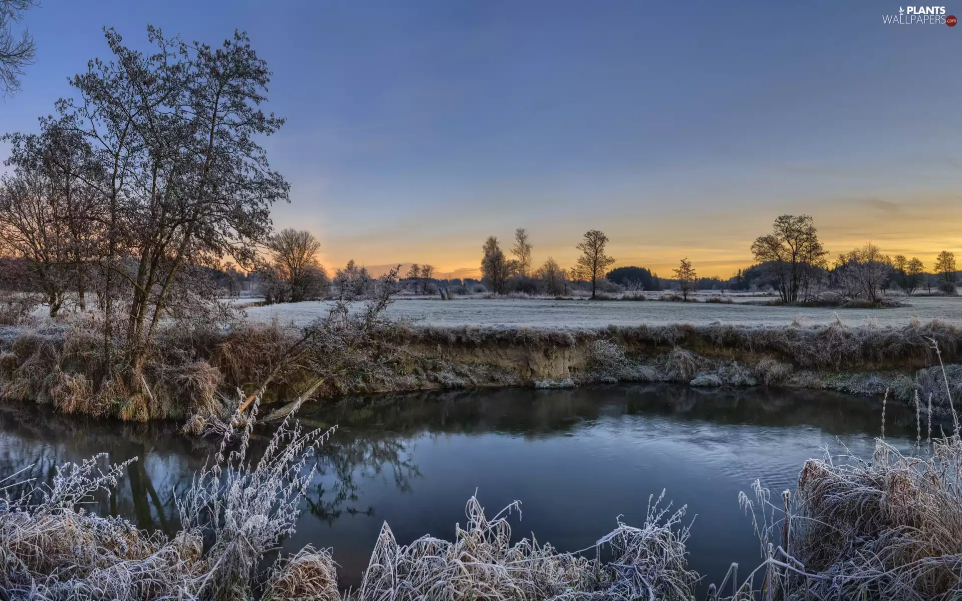 viewes, River, grass, Great Sunsets, frosted, trees