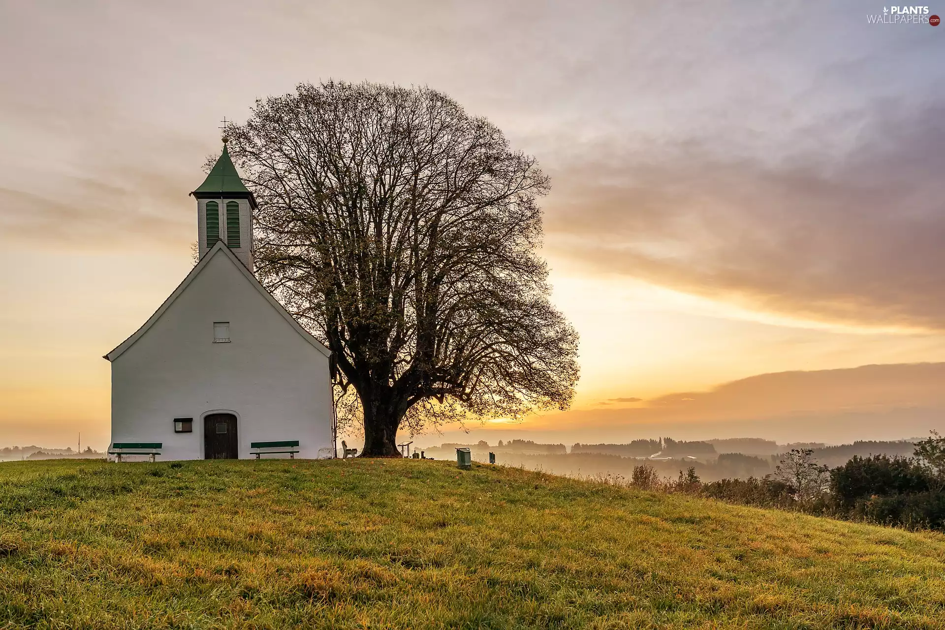 trees, Church, Hill, Great Sunsets, Meadow, chapel