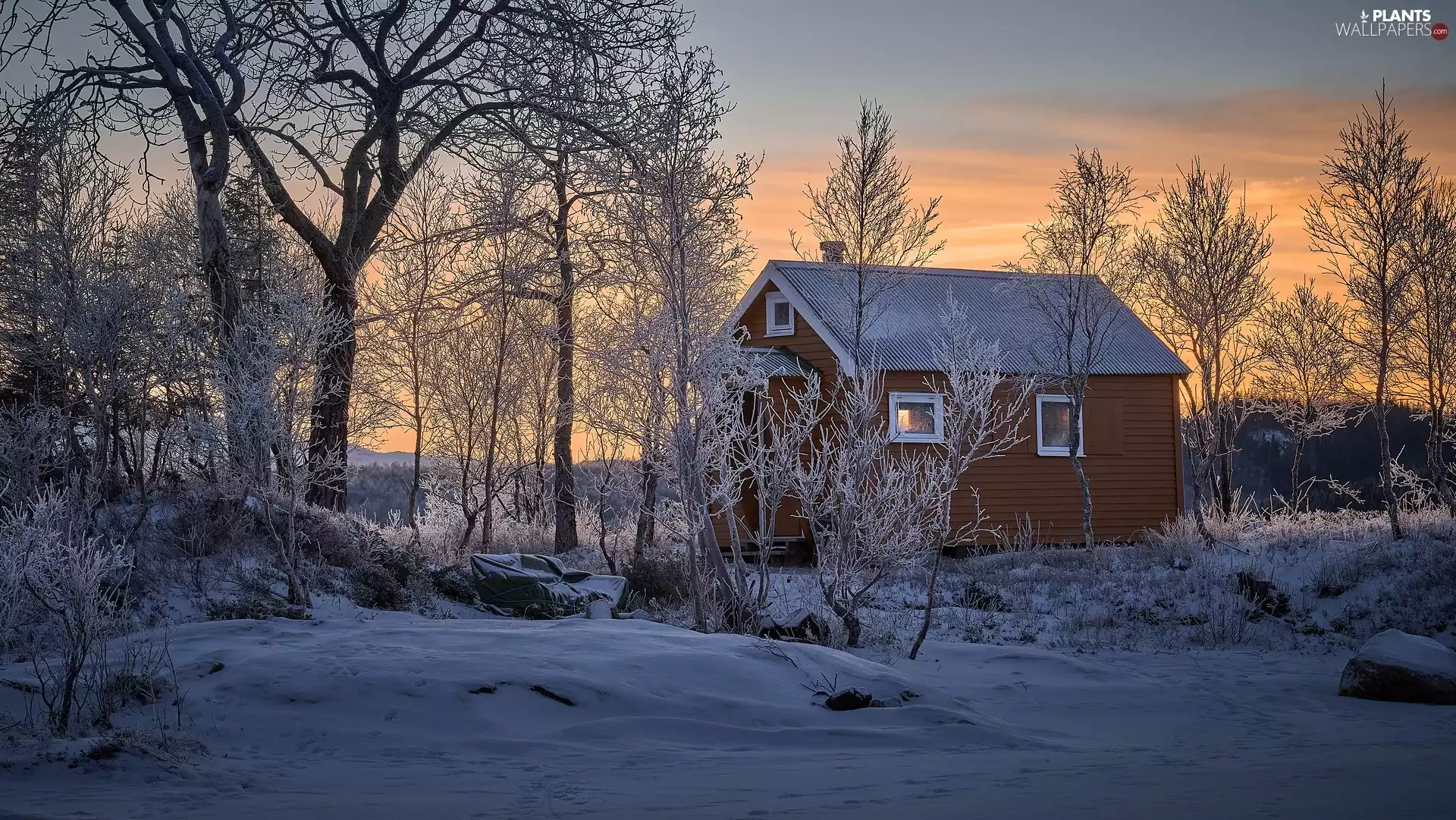 trees, winter, house, Great Sunsets, viewes, Snowy