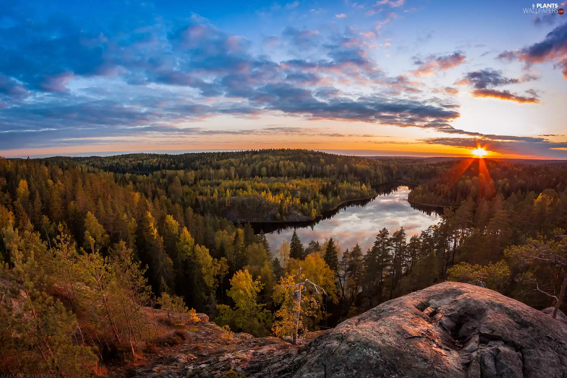 viewes, autumn, lake, Great Sunsets, woods, trees
