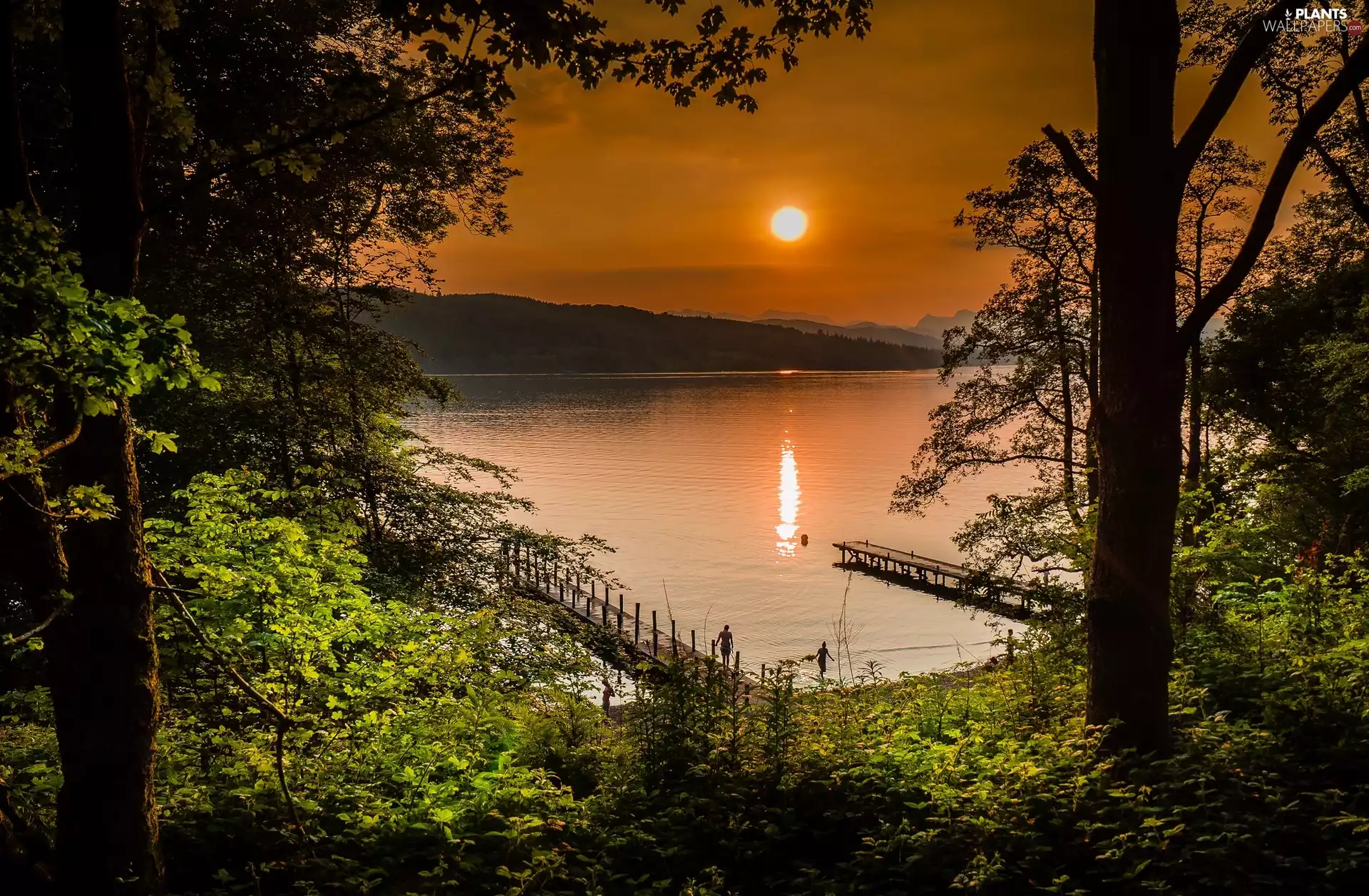 Cumbria, England, Lake District, Lake Windermere, trees, viewes, Great Sunsets, Platforms, Bay Rayrigg Wyke