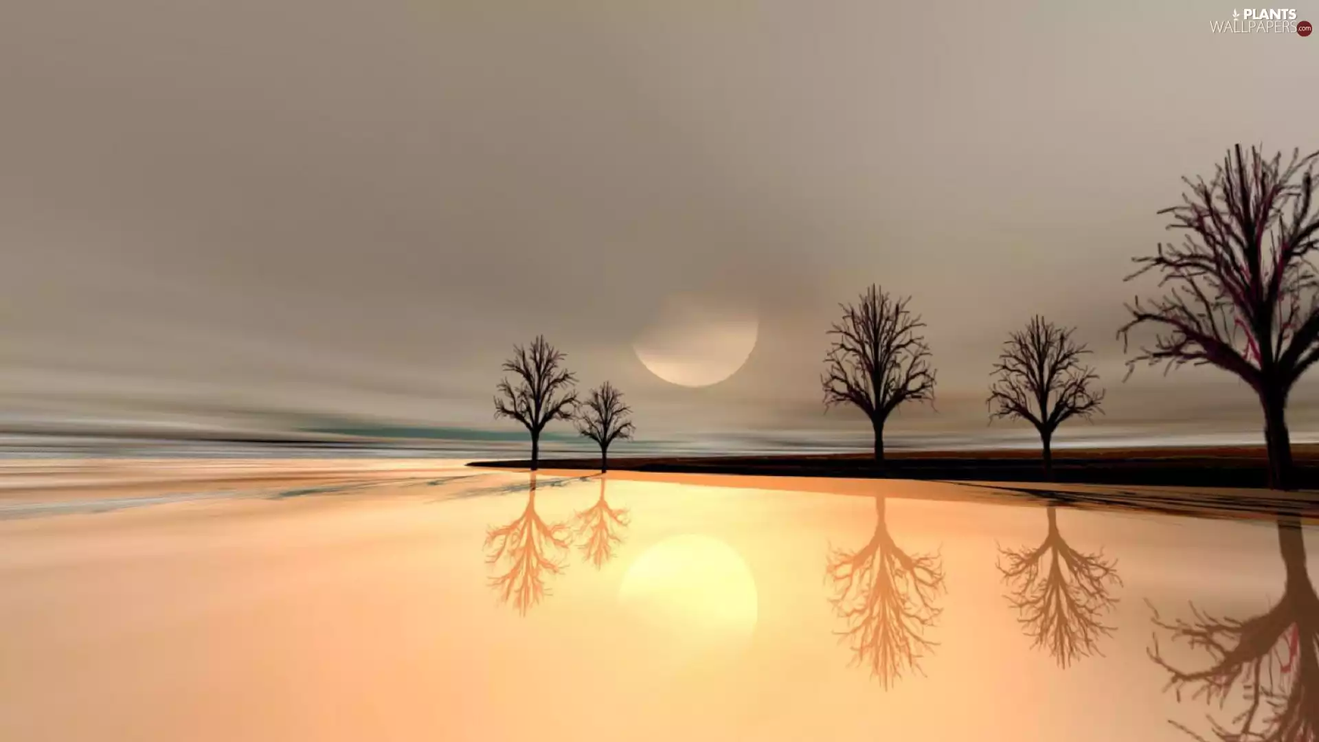 viewes, lake, Mirror, Great Sunsets, reflection, trees