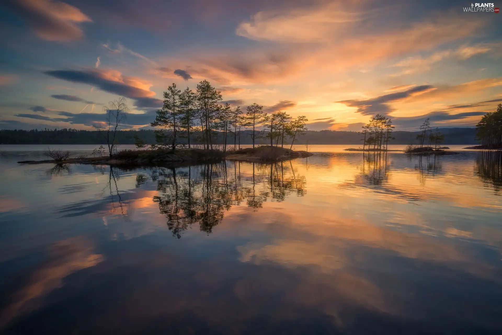 Great Sunsets, lake, reflection, Islet, viewes, Ringerike Municipality, Norway, trees