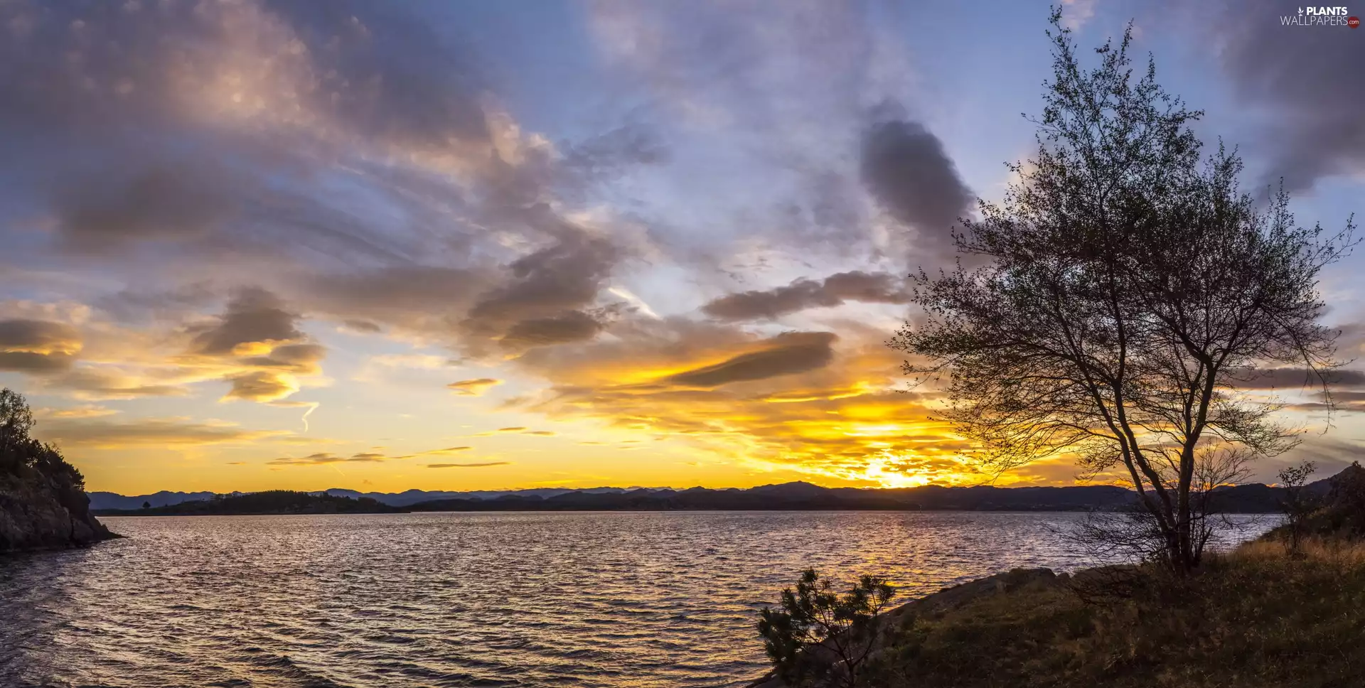 Great Sunsets, Region Rogaland, viewes, lake, Norway, trees, clouds