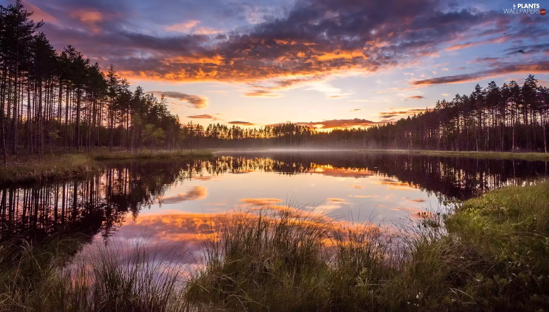 Pond - car, Finland, trees, Fog, VEGETATION, reflection, Great Sunsets, Patvinsuo National Park, Lieksa, clouds, viewes