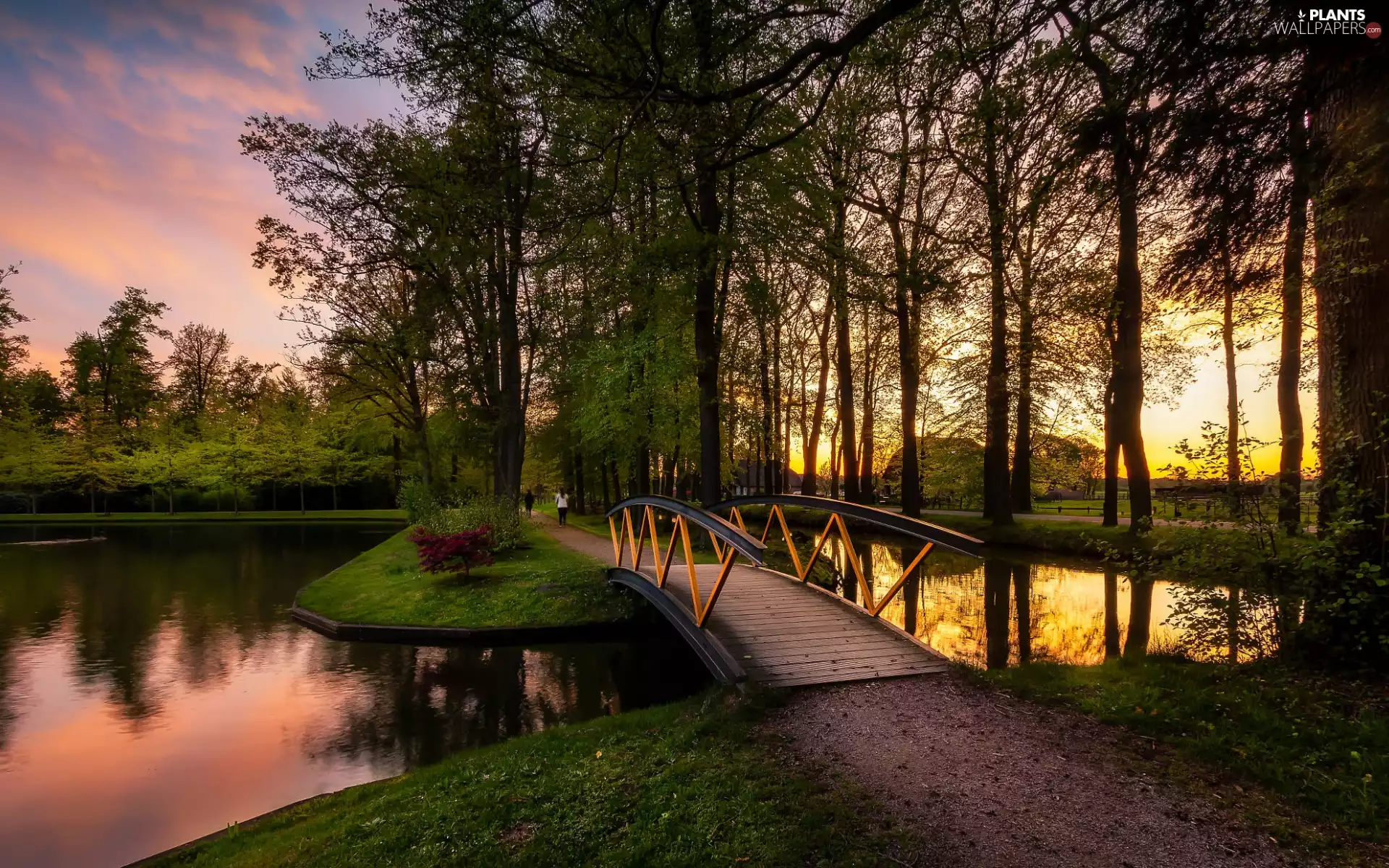 Great Sunsets, trees, bridges, viewes, Park, Pond - car, VEGETATION