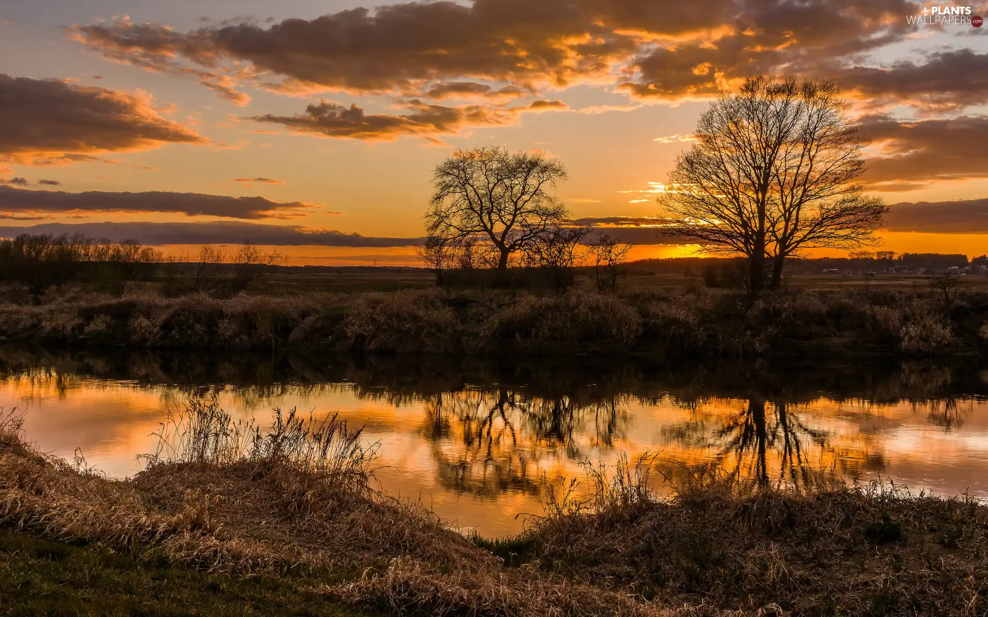 Great Sunsets, autumn, clouds, River, dry, grass, viewes, reflection, trees