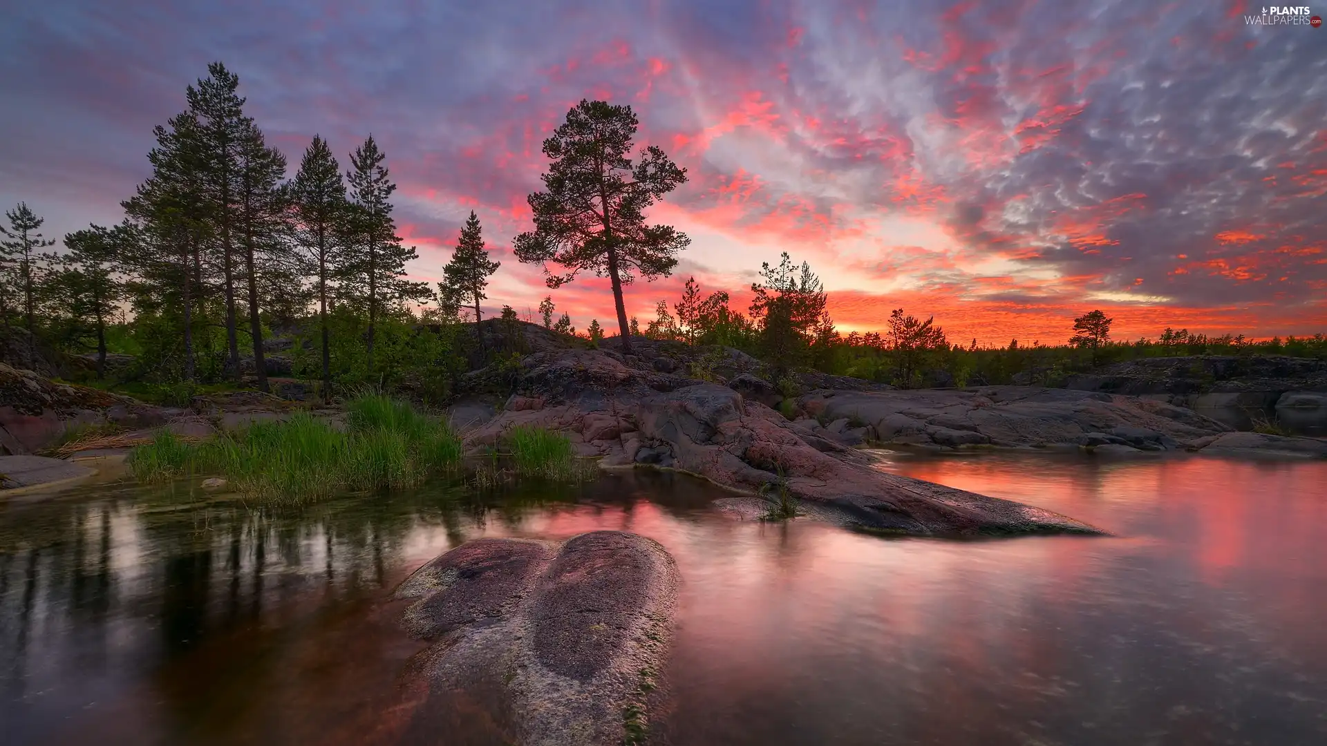 clouds, trees, rocks, Karelia, color, Lake Ladoga, viewes, Russia, Great Sunsets, Sky