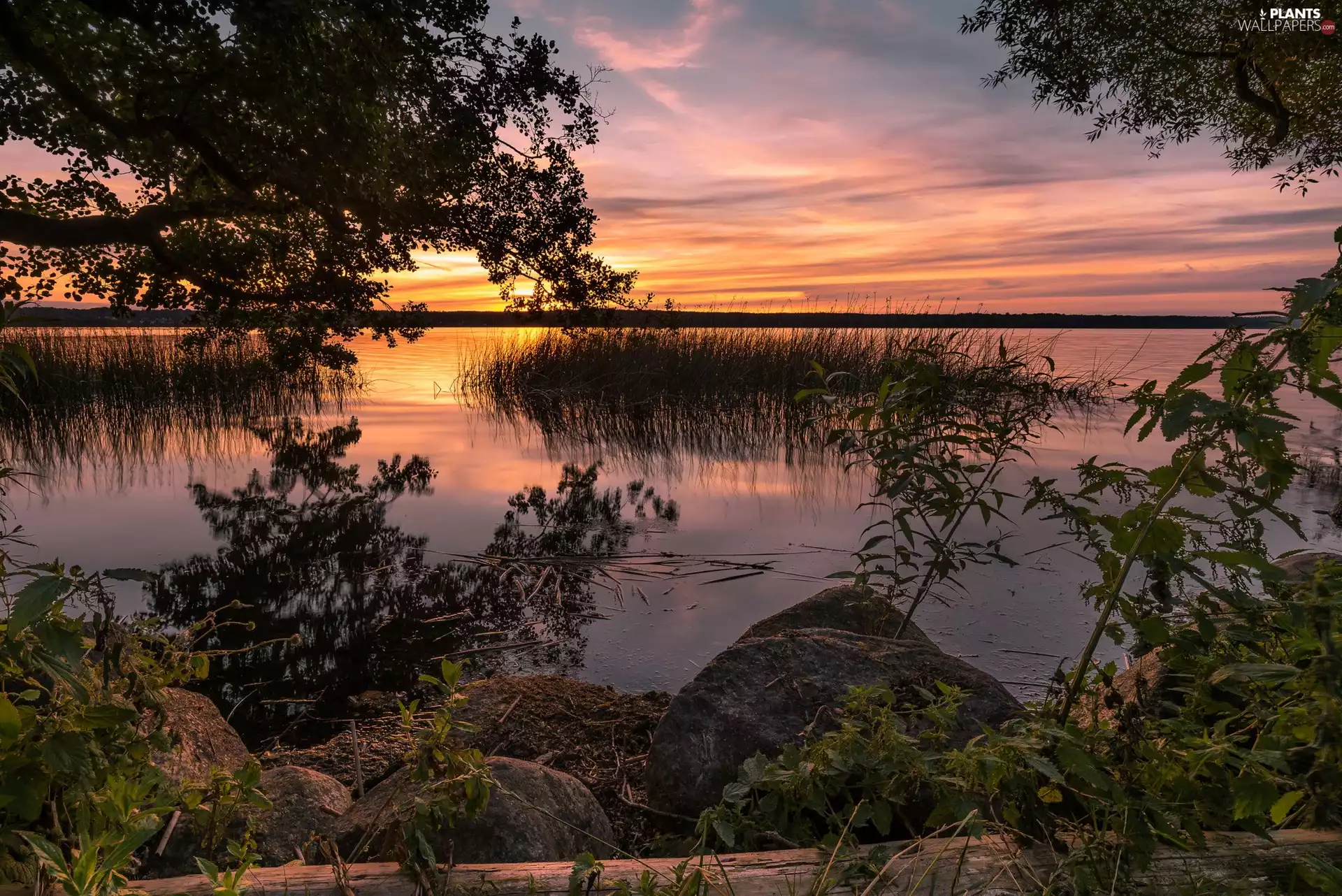 viewes, lake, Stones, Great Sunsets, VEGETATION, trees